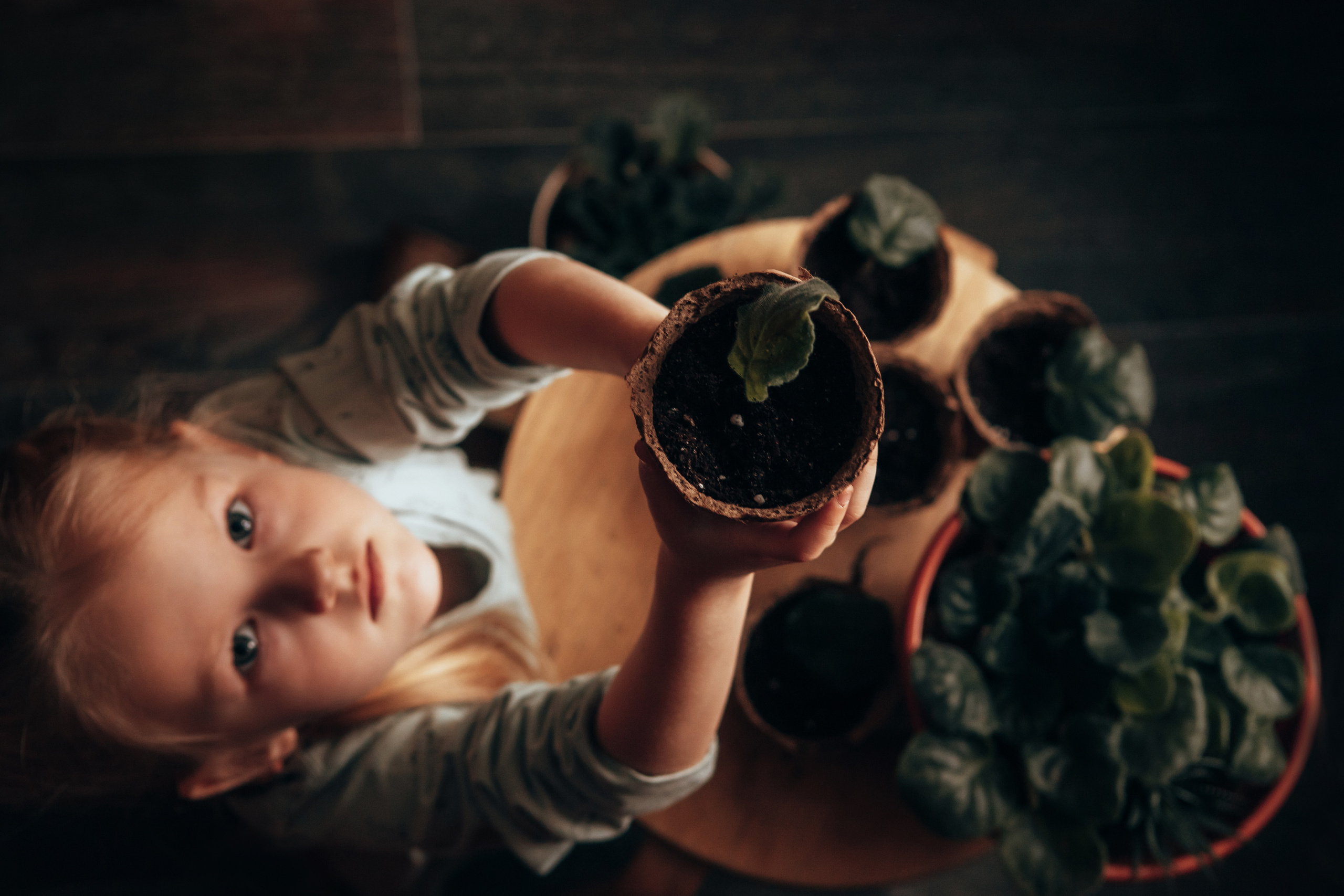 Фиалки. Семейный и детский фотограф в г. Новосибирске Макеева Анастасия