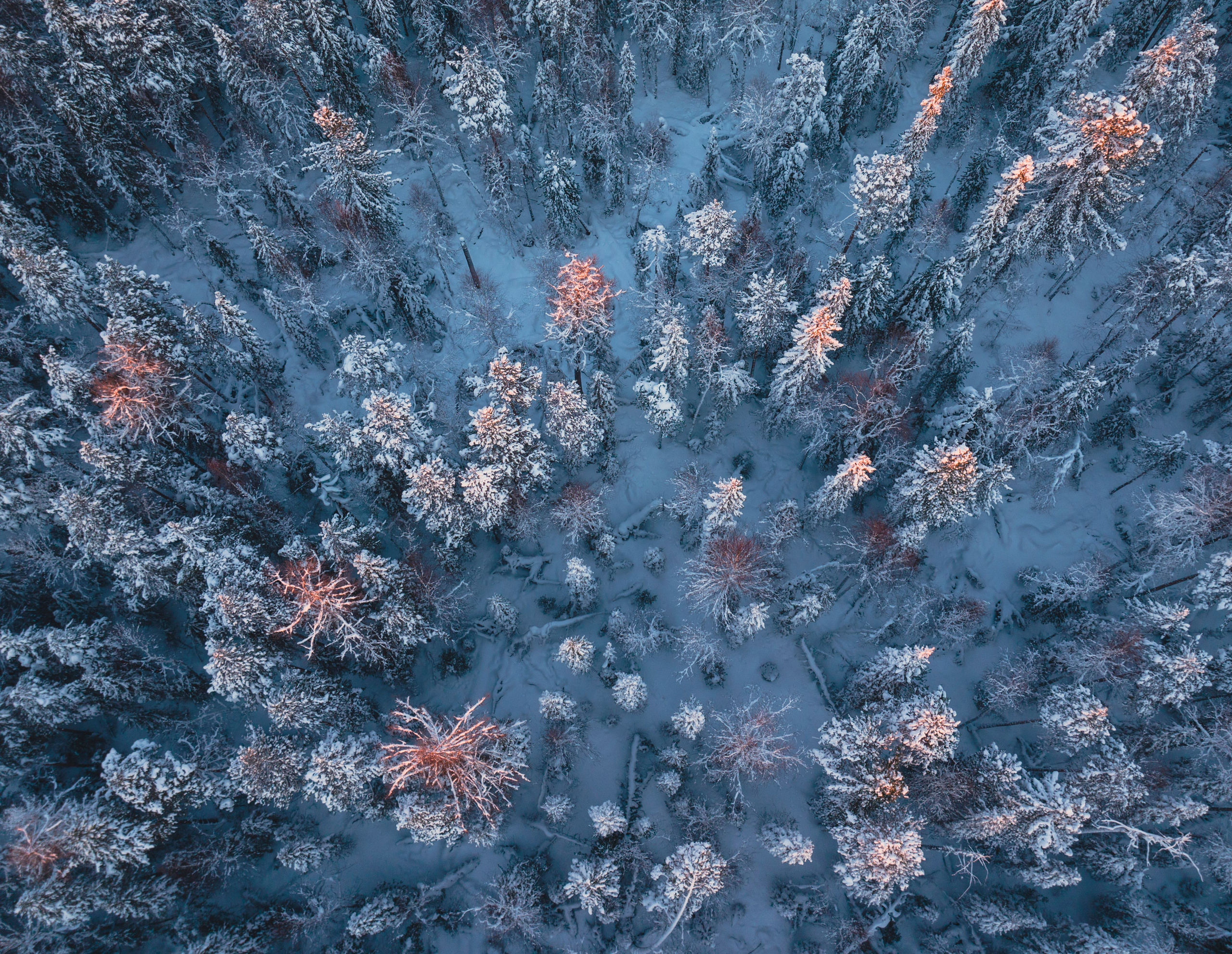 Фотограф Татьяна Борисова