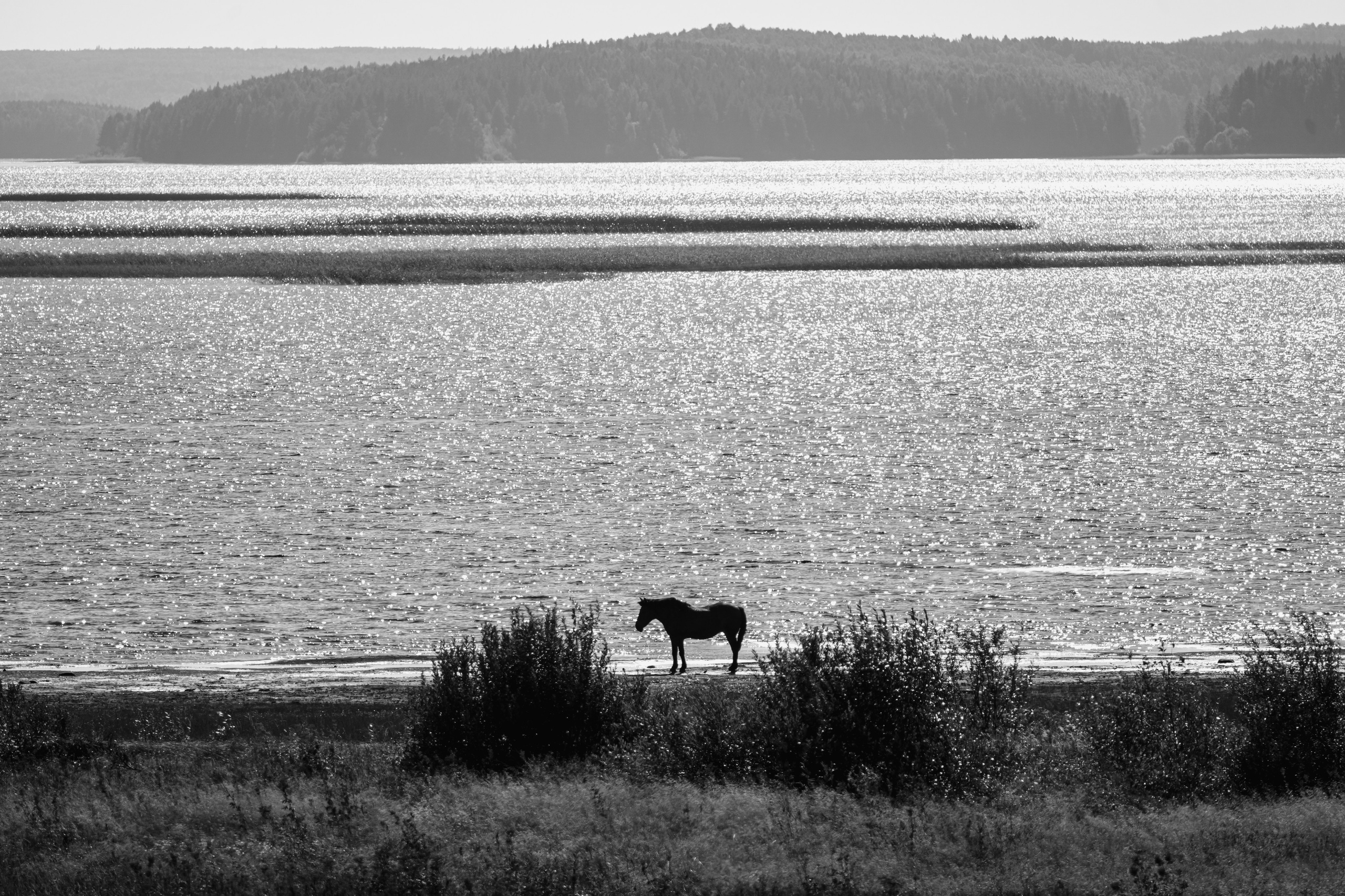 Кенозерье. Фотограф Александр Решня