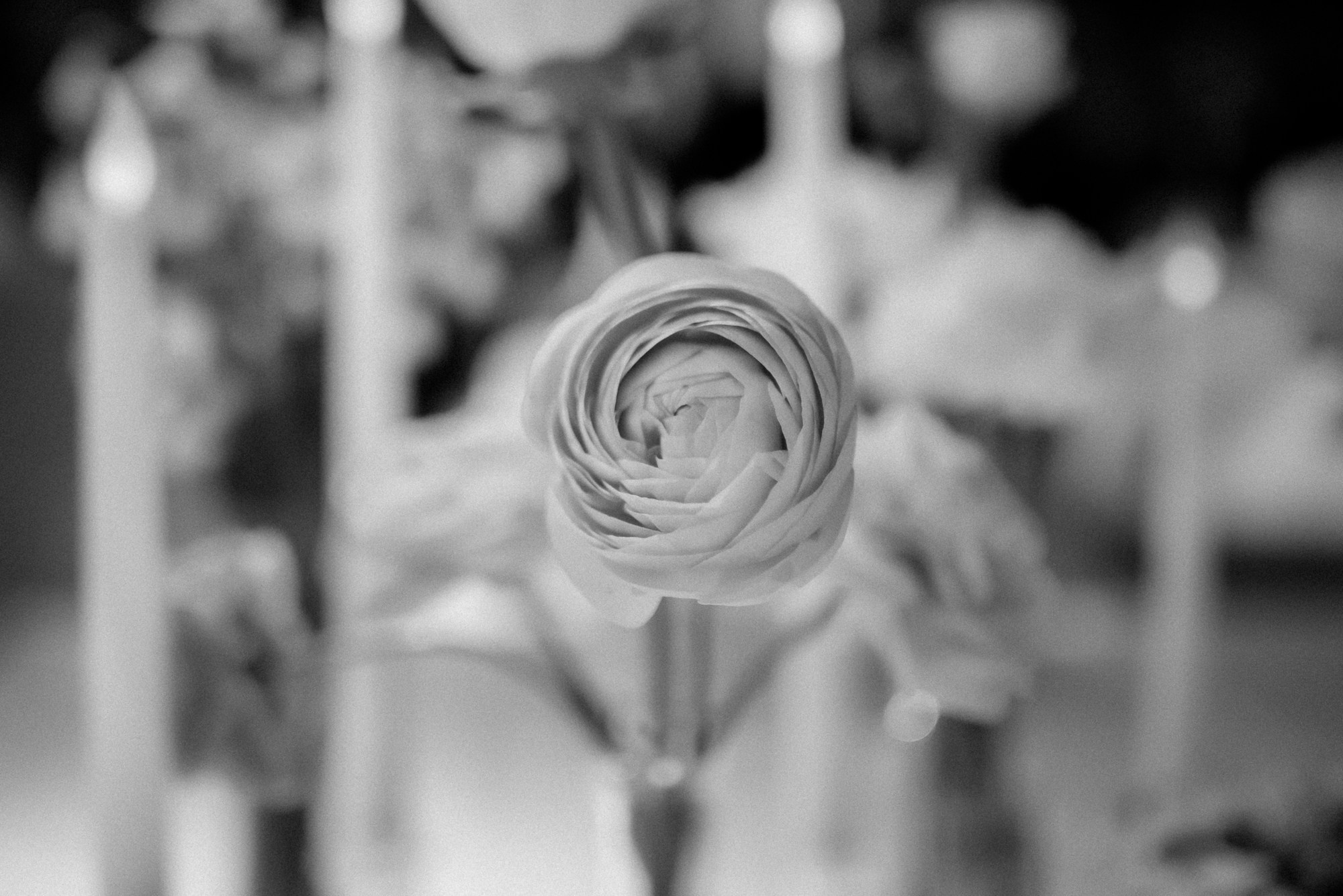 ВОЗДУХ. Свадебный фотограф в Ставрополе Сергей Шляхов