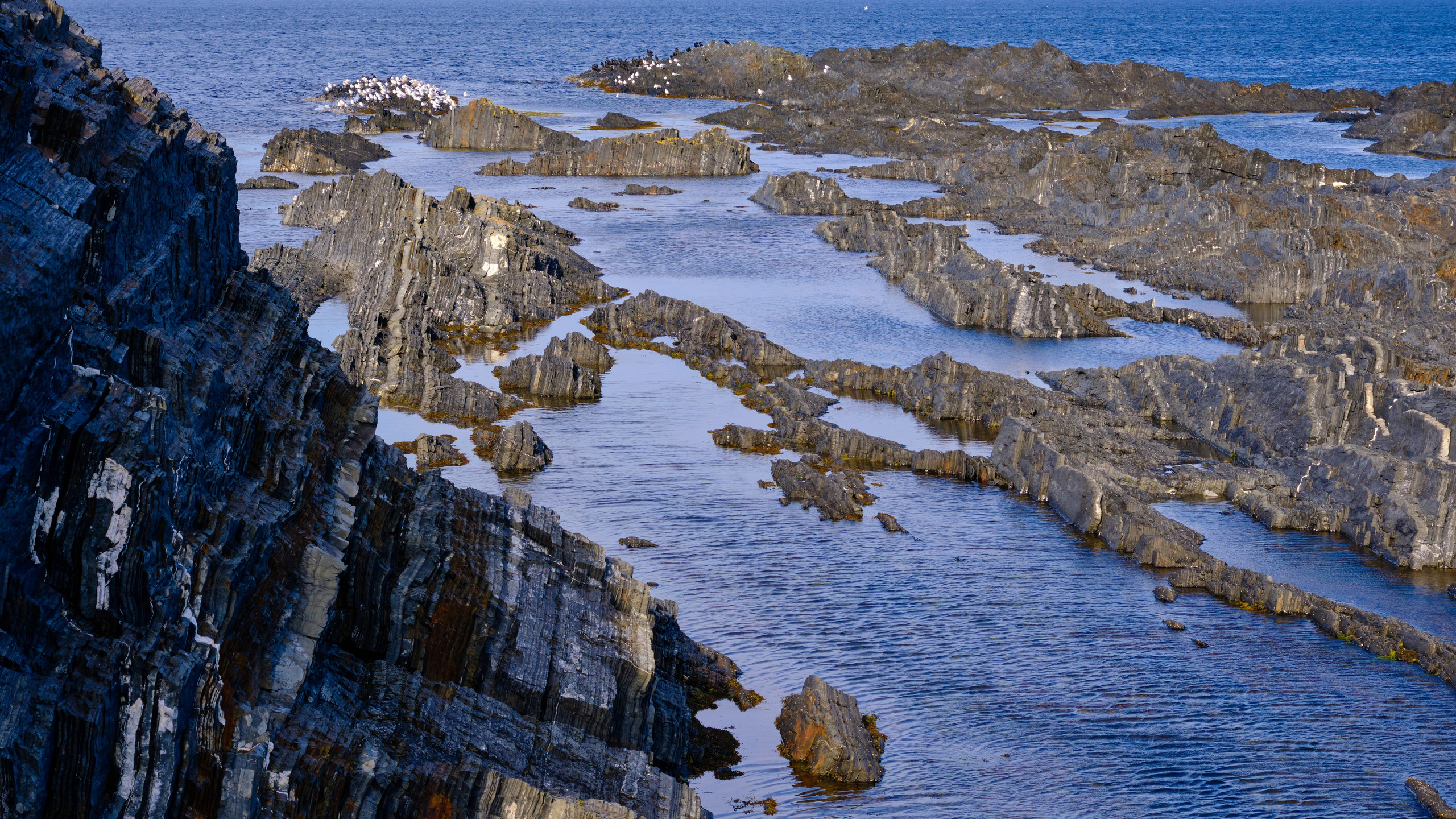 Баренцево море. Пейзажи Крайнего Севера. Баренцево море, Рыбачий, Средний, Немецкий