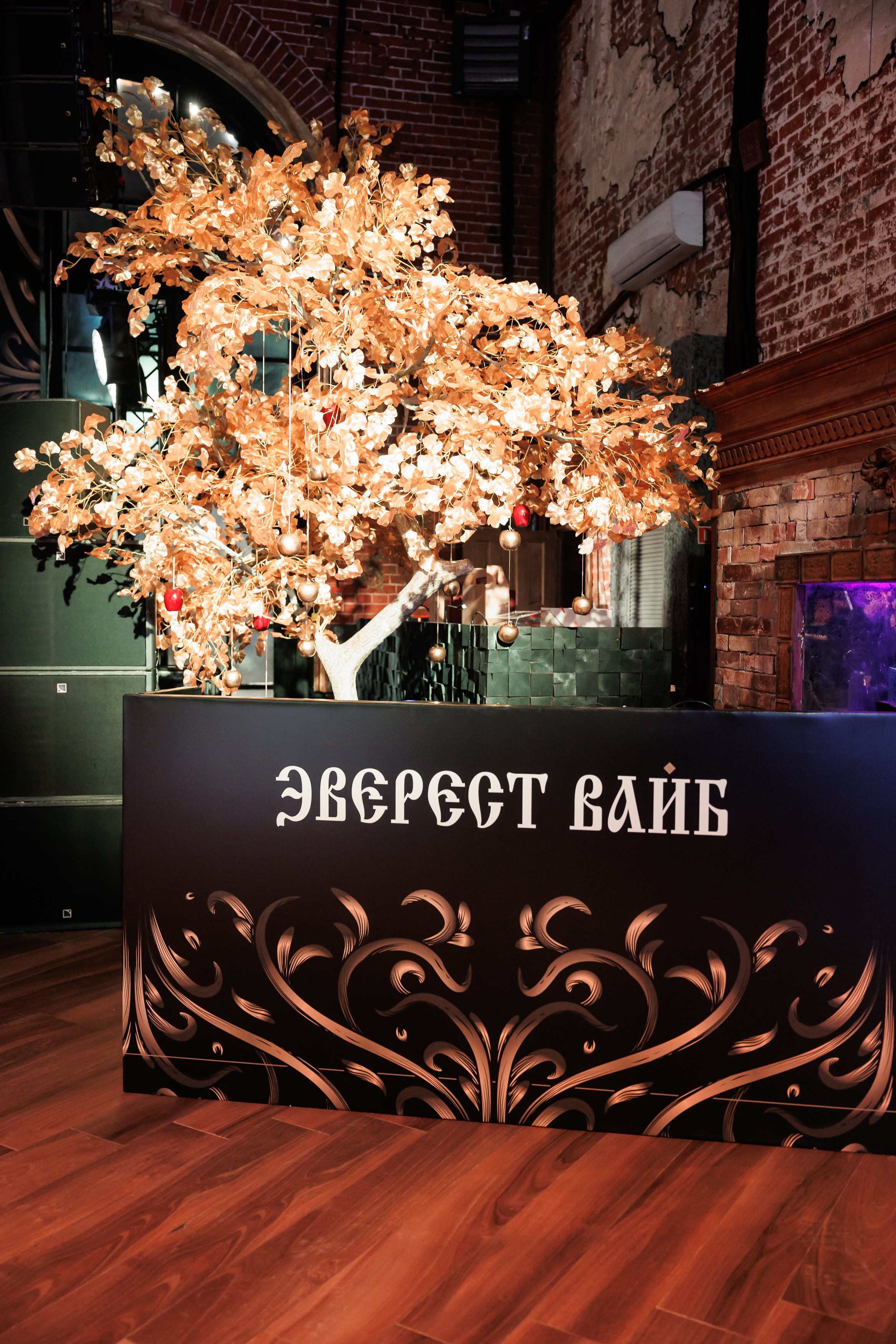 EVEREST VIBE Сказки 08.12.2023. EVEREST PHOTO REPORT