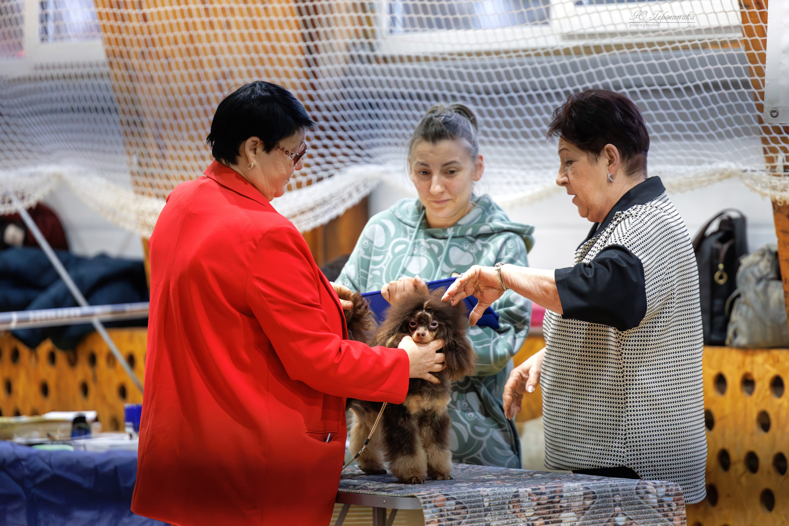 Тверь 21.12.2025. Фотограф-анималист Юлия Германика