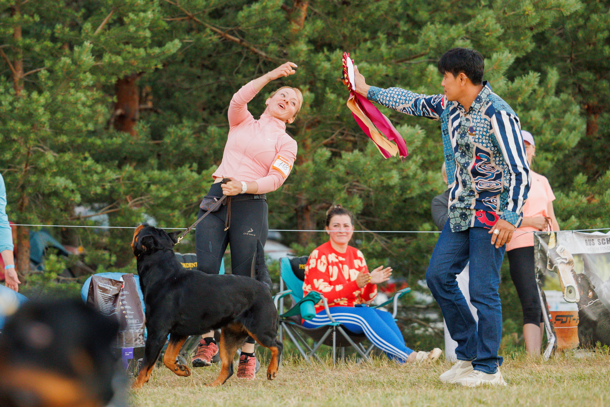 ПК и КЧК ротвейлеры Тверь 6-7.07.2024. Фотограф-анималист Юлия Германика