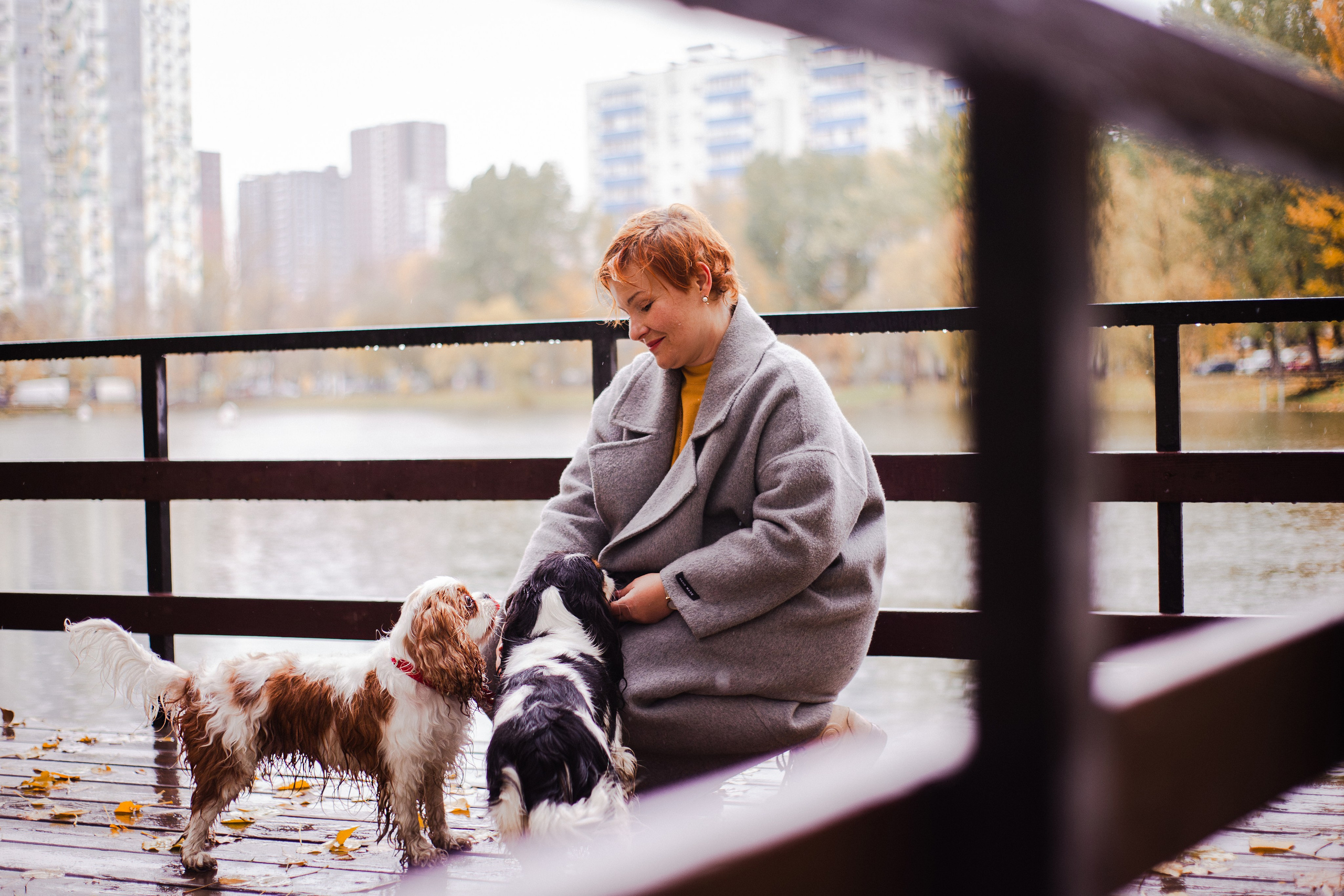 Жанна и кавалеры. Фотограф-анималист Мария Баркевич | Москва
