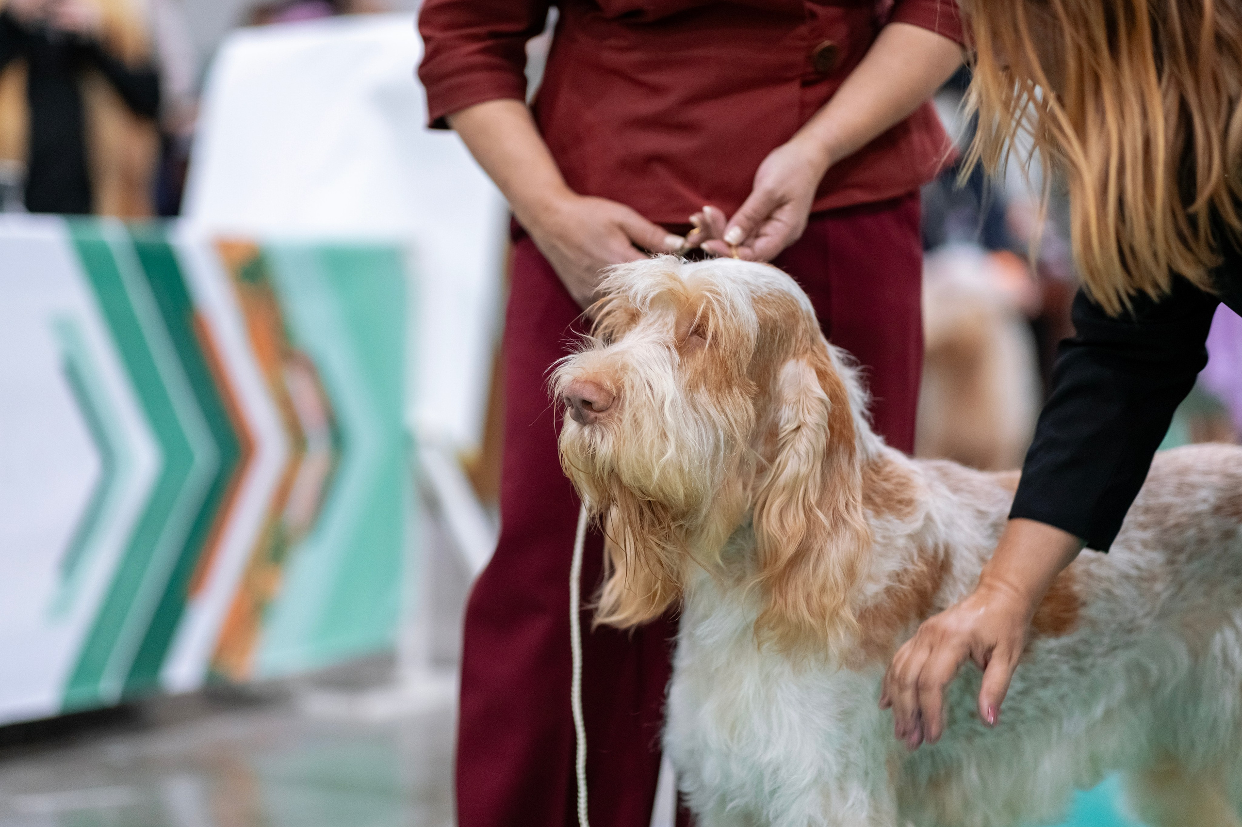 Евразия. Фотограф — анималист Татьяна Ли