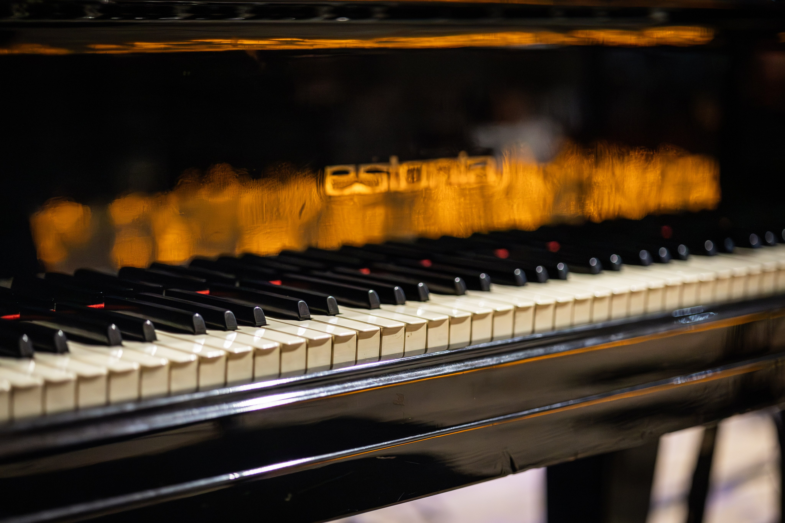 Muse. Екатерина Рыбина фотограф в Нижнем Новгороде