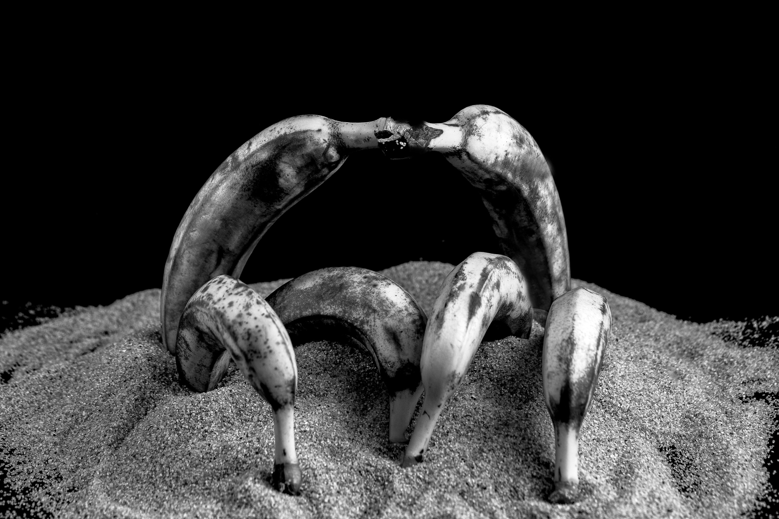 Банановая галлерея. Медиапродюсер, фотограф в Минеральных Водах —Виктор Холодов