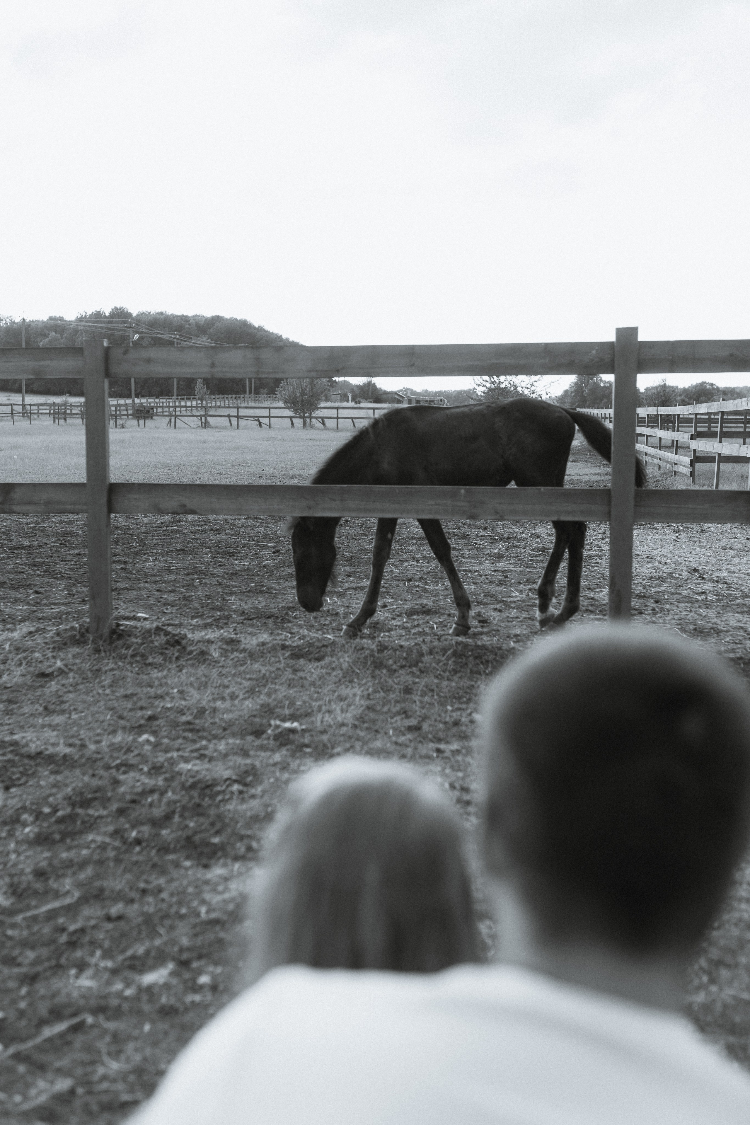 Аврорушке 3. Семейный и женский фотограф в Краснодаре Виктория Гупало