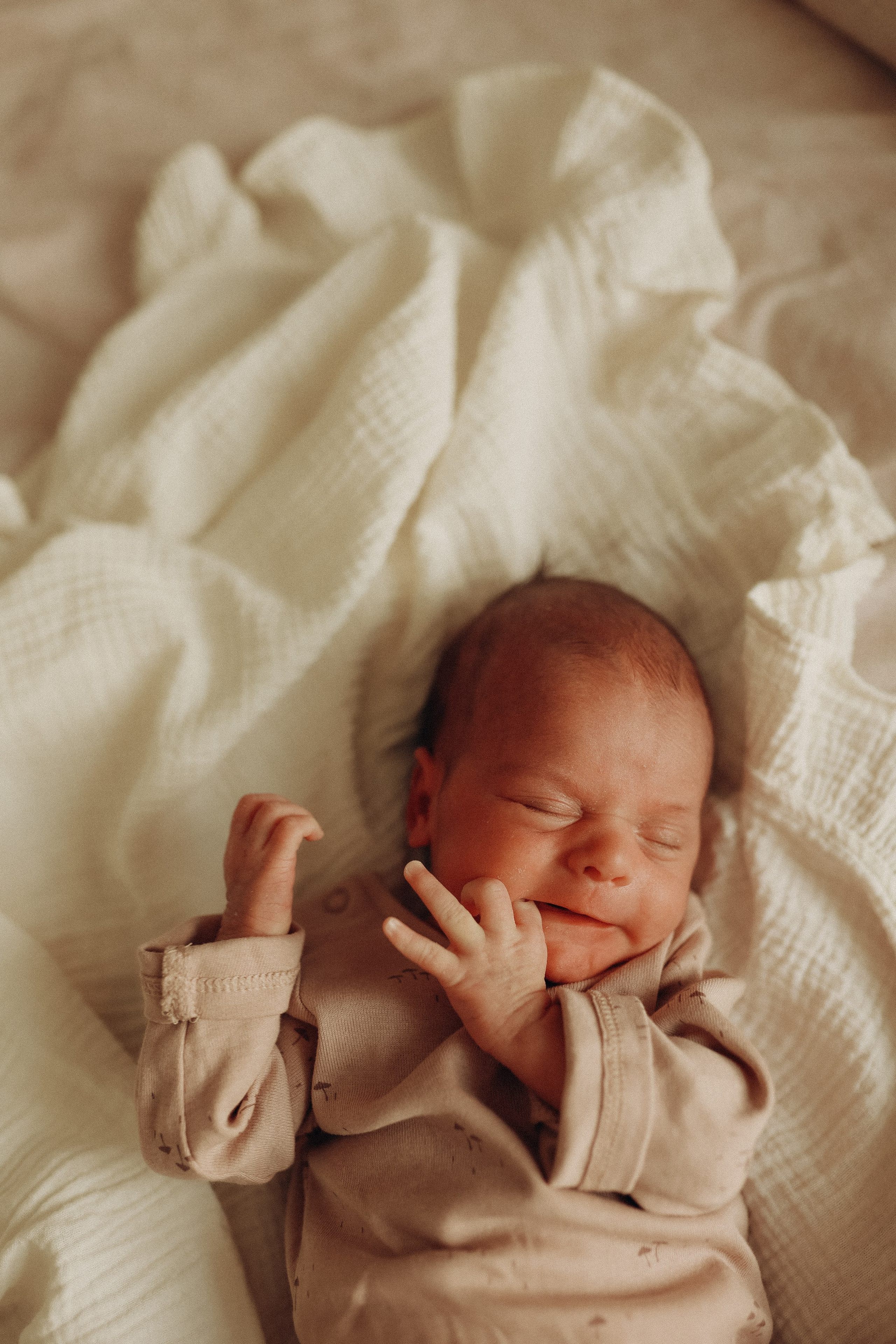 Домашняя фотосессия newborn. Елена Гореликова фотограф в Москве