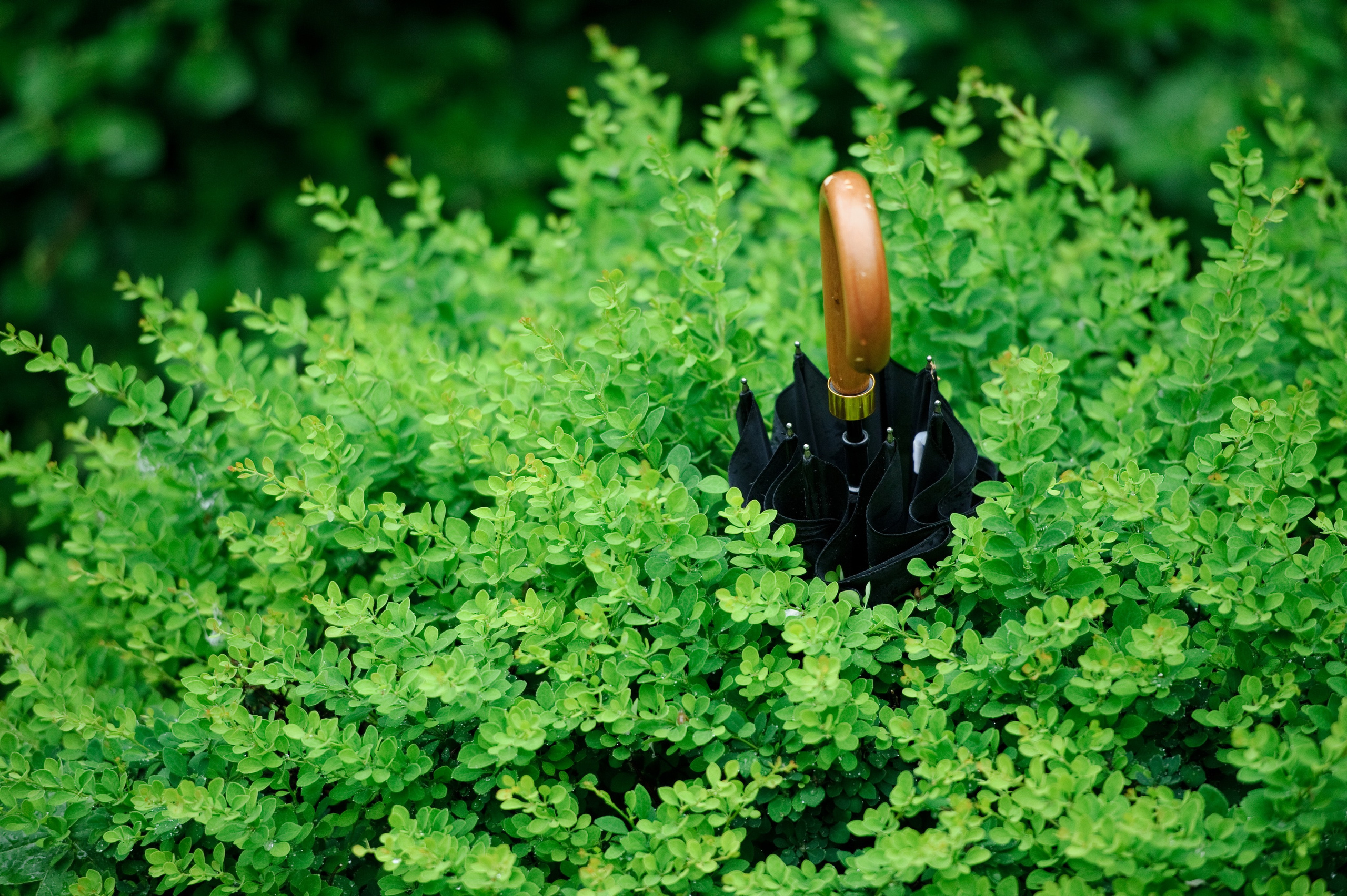 Оксана и Антон. Свадьба, Москва. Семейный фотограф Анна Дубовская