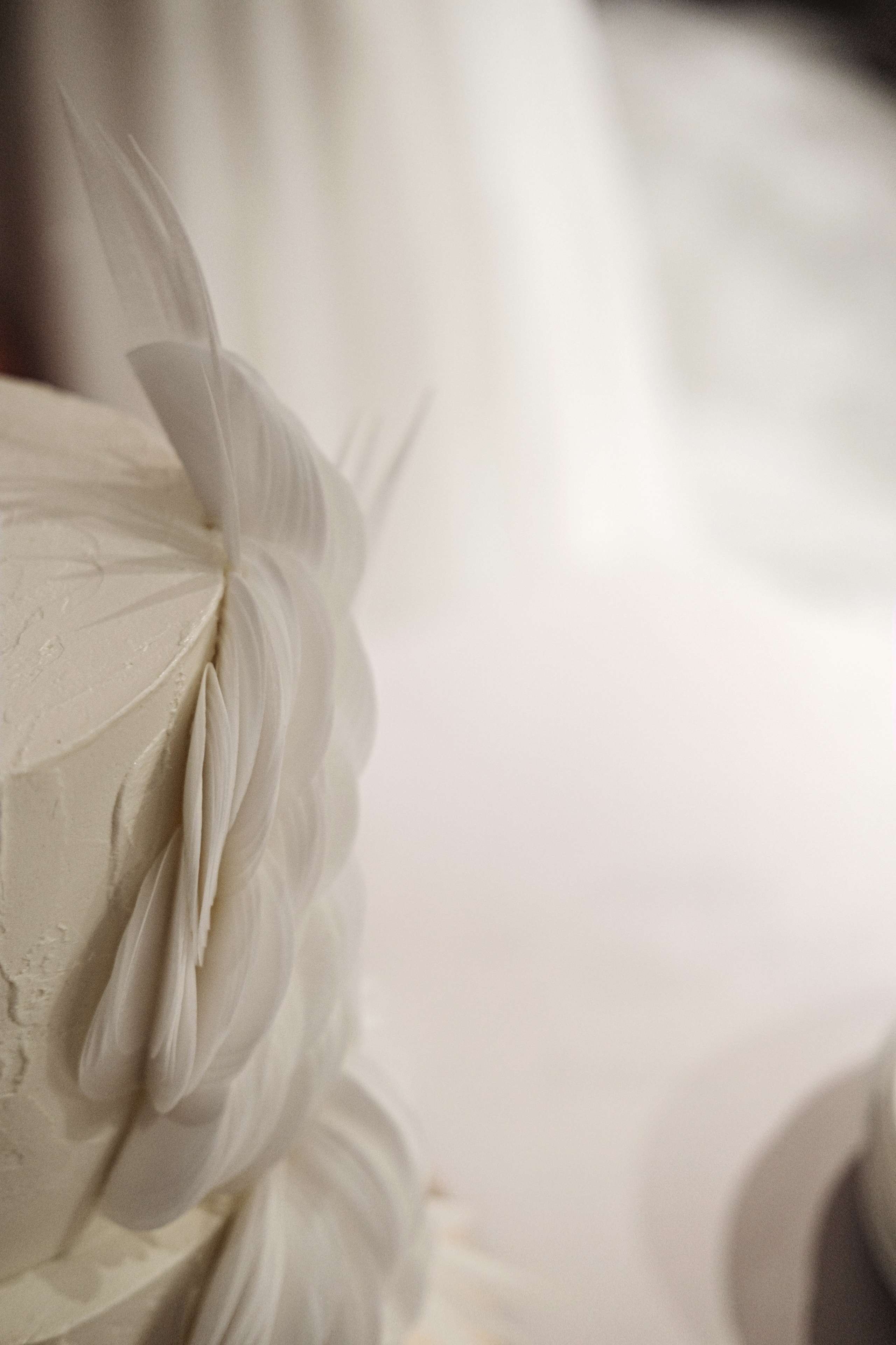 Ольга / Алексей. Свадебный Видеограф Фотограф в Сочи