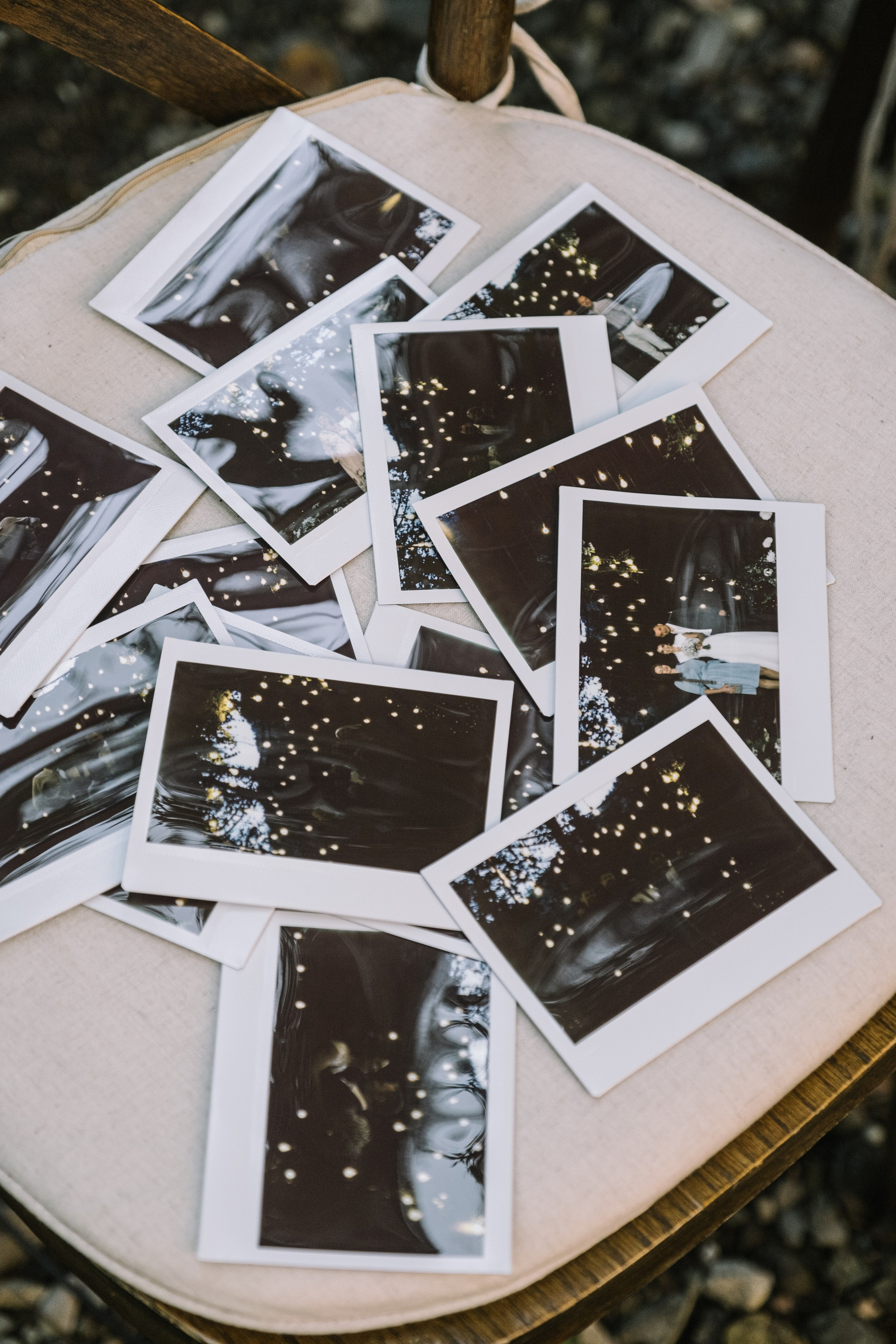 Кот и Дракон. Свадебный Видеограф Фотограф в Сочи