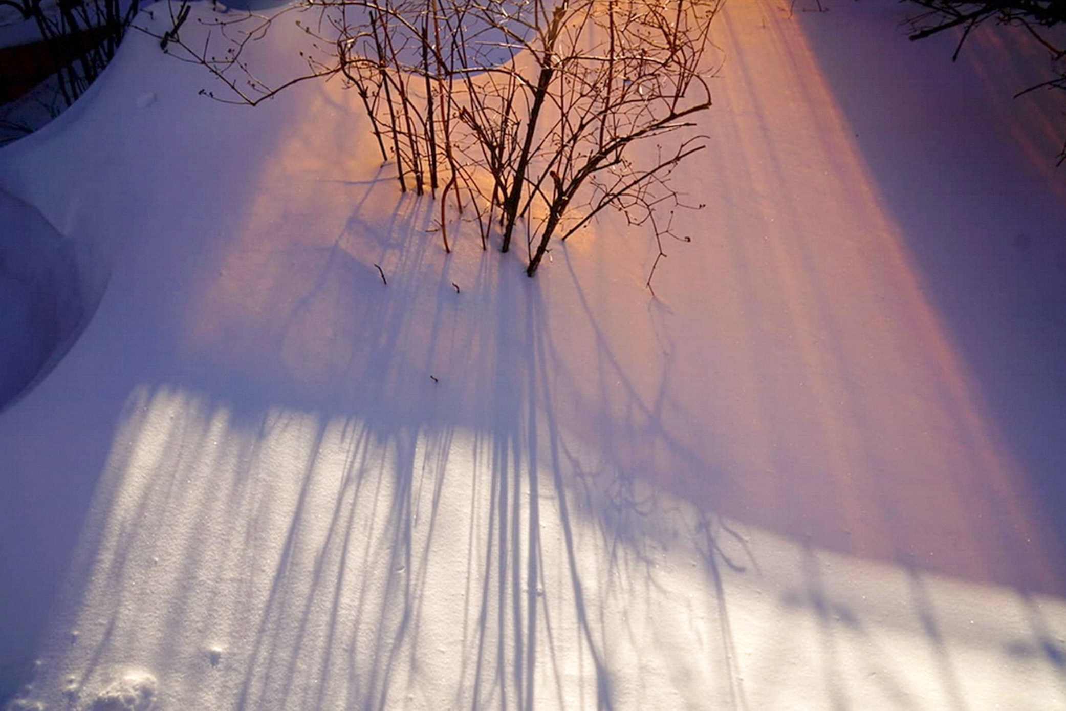 Симуляторы (Каталог № 3). Главная