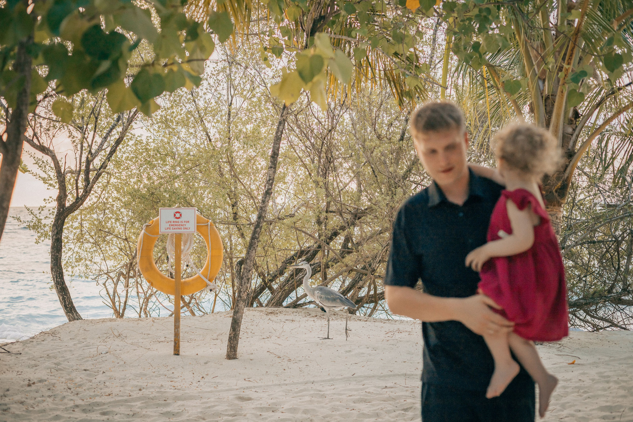 Семейные съемки. Семейный и детский фотограф Олеся Козьякова