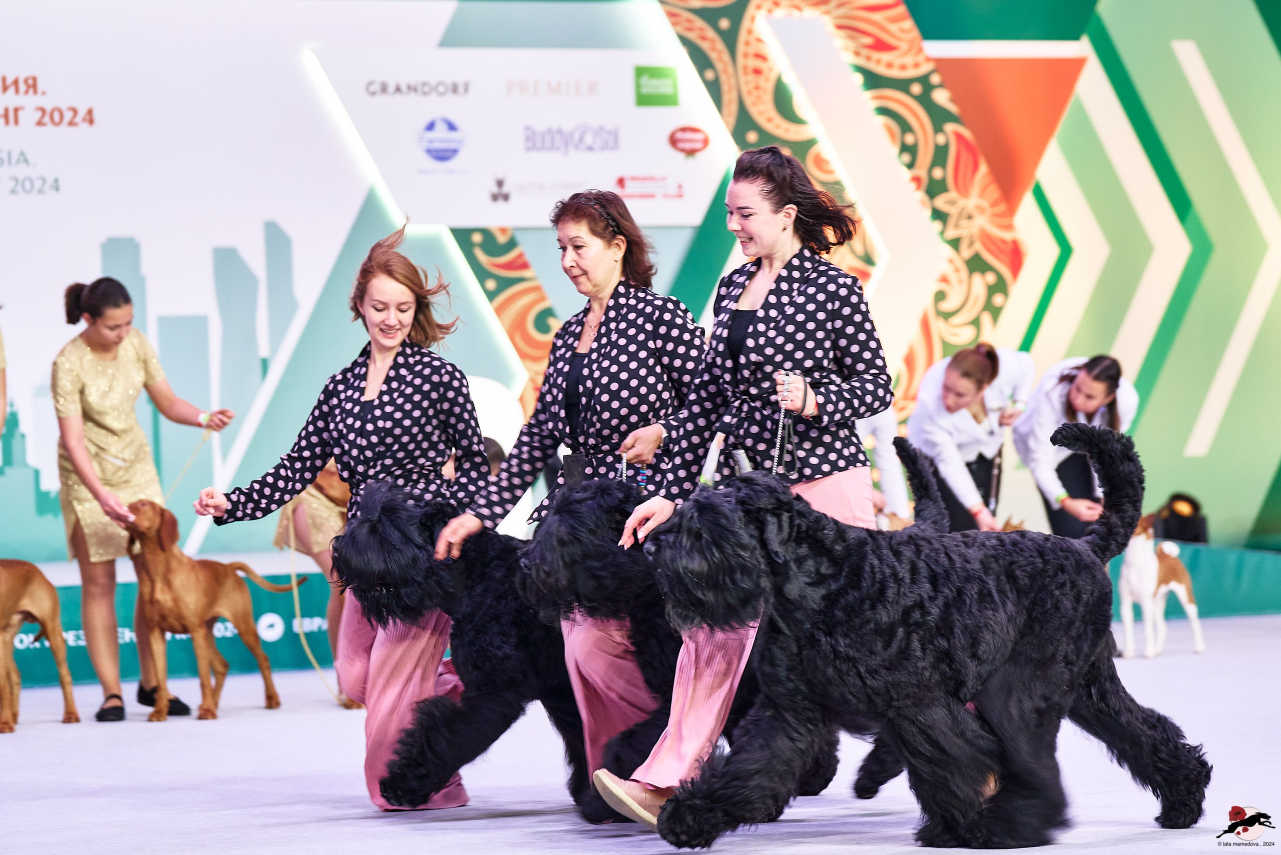 16.11.2024 «ЕВРАЗИЯ. КУБОК ПРЕЗИДЕНТА РКФ 2024»