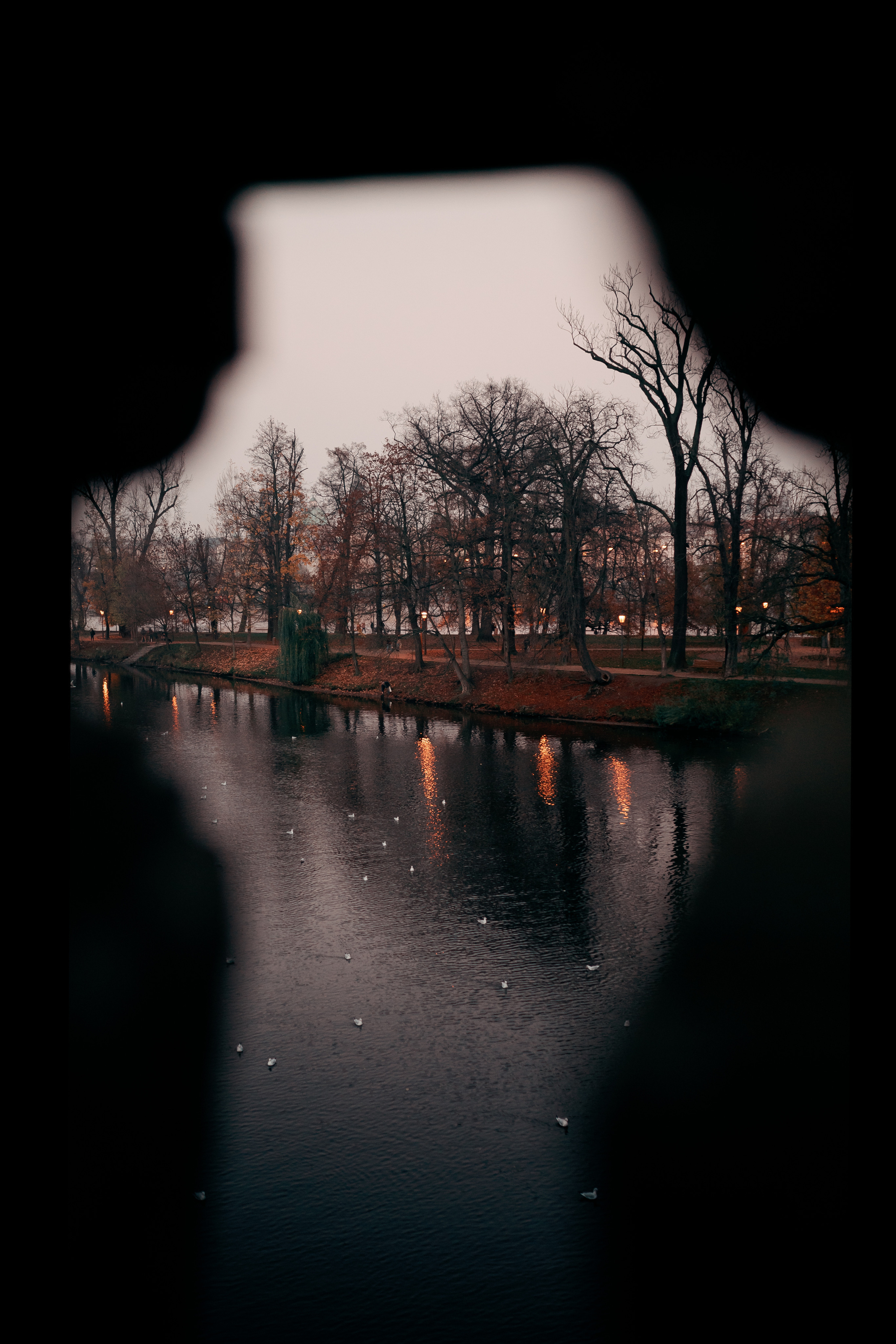 Селин. Фотограф в Праге Александр Пивоваров