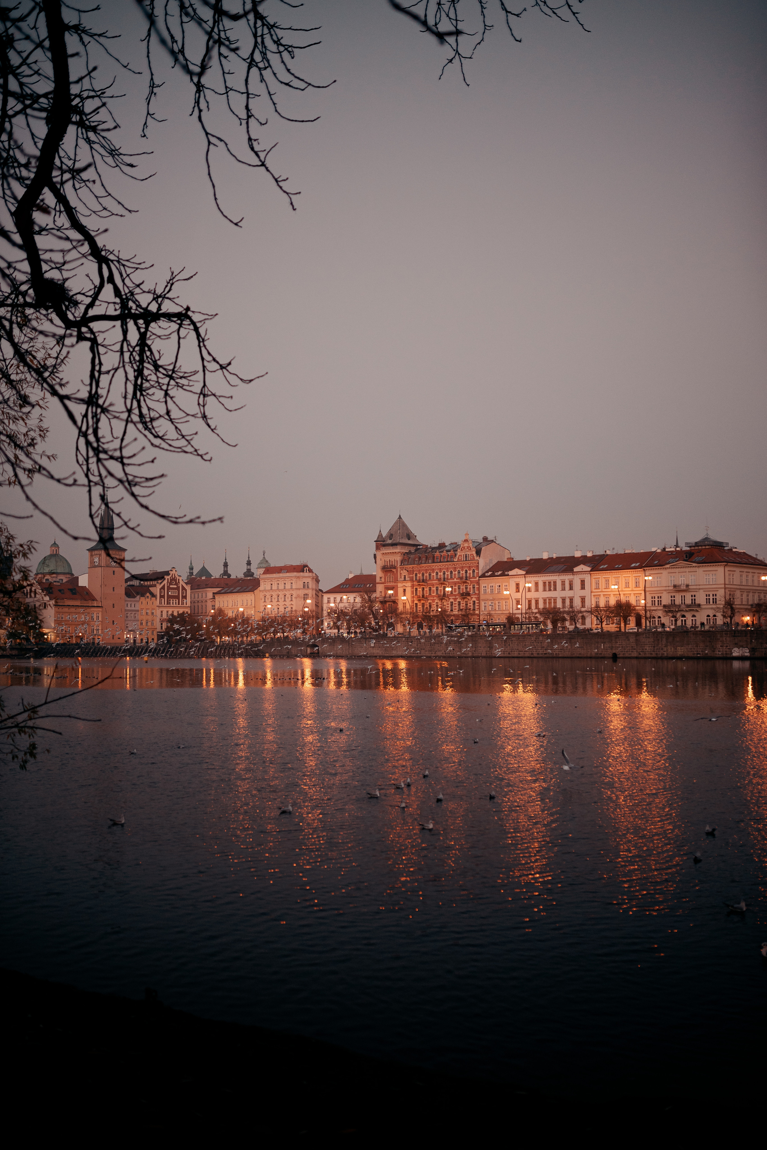 Селин. Фотограф в Праге Александр Пивоваров