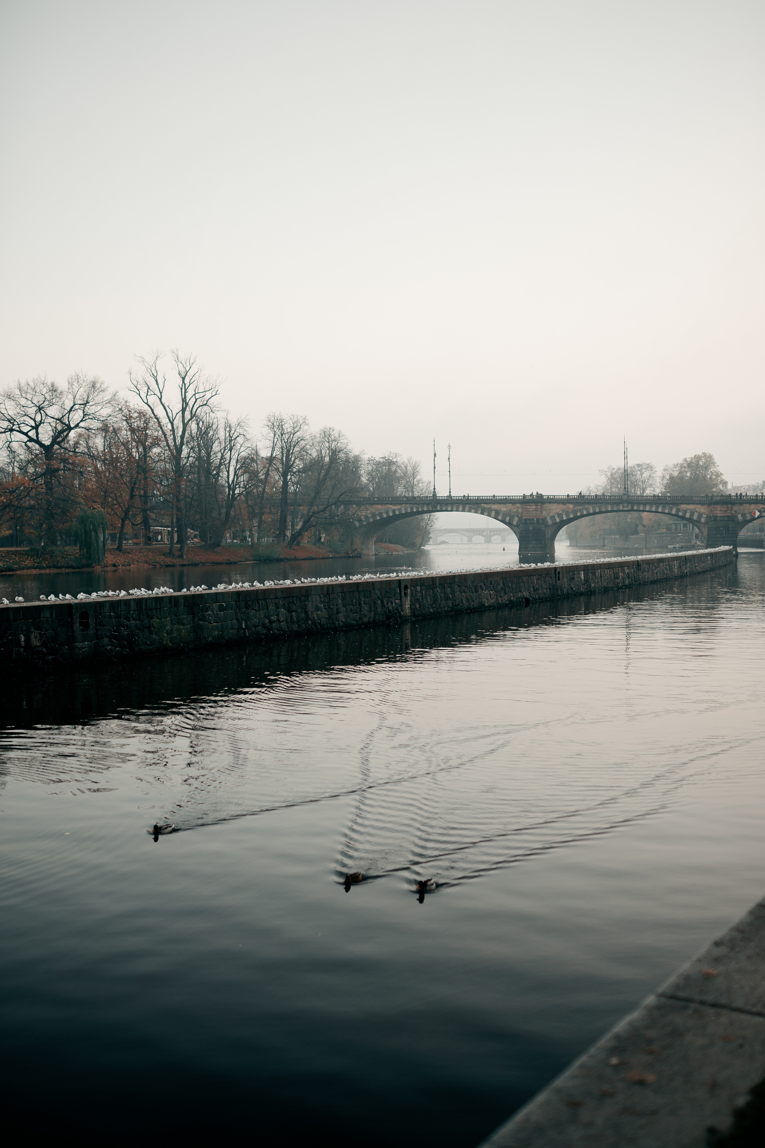 Селин. Фотограф в Праге Александр Пивоваров