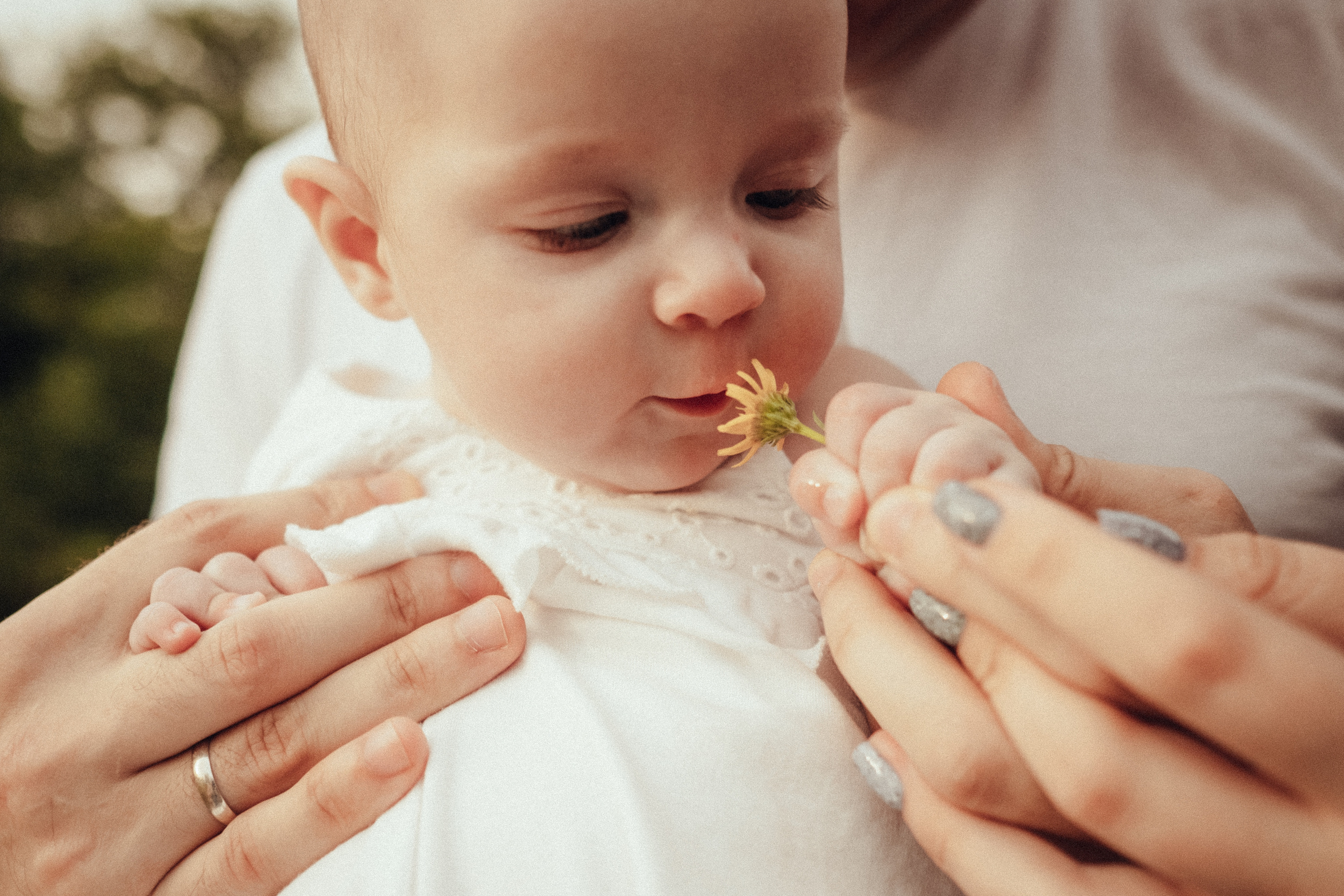 Семейная фотосессия с младенцем на природе летом. Фотограф в городе Астрахань Ольга Лазиева