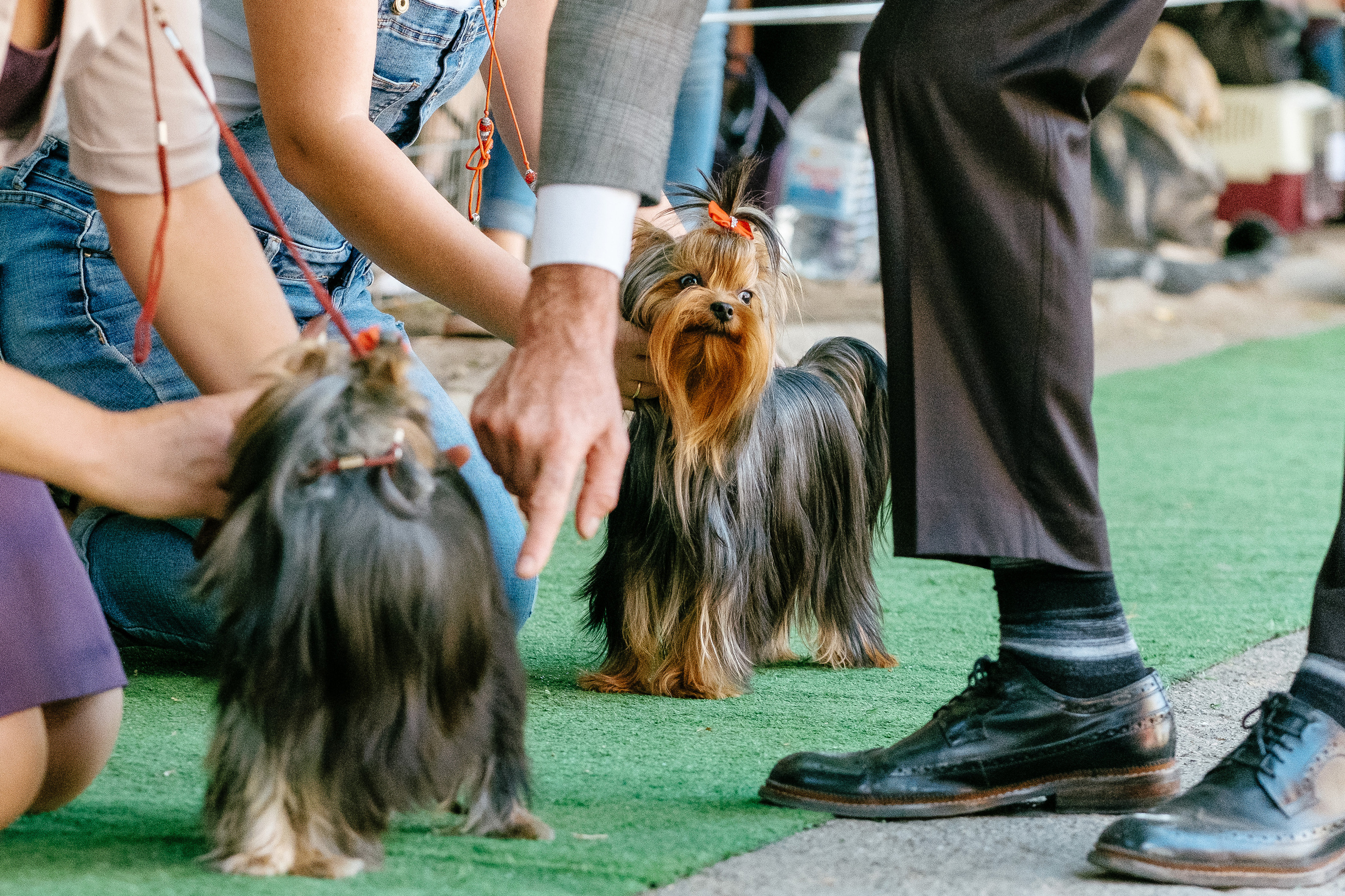 Событийный фоторепортаж с мероприятий в городе. Фотограф в городе Астрахань Ольга Лазиева