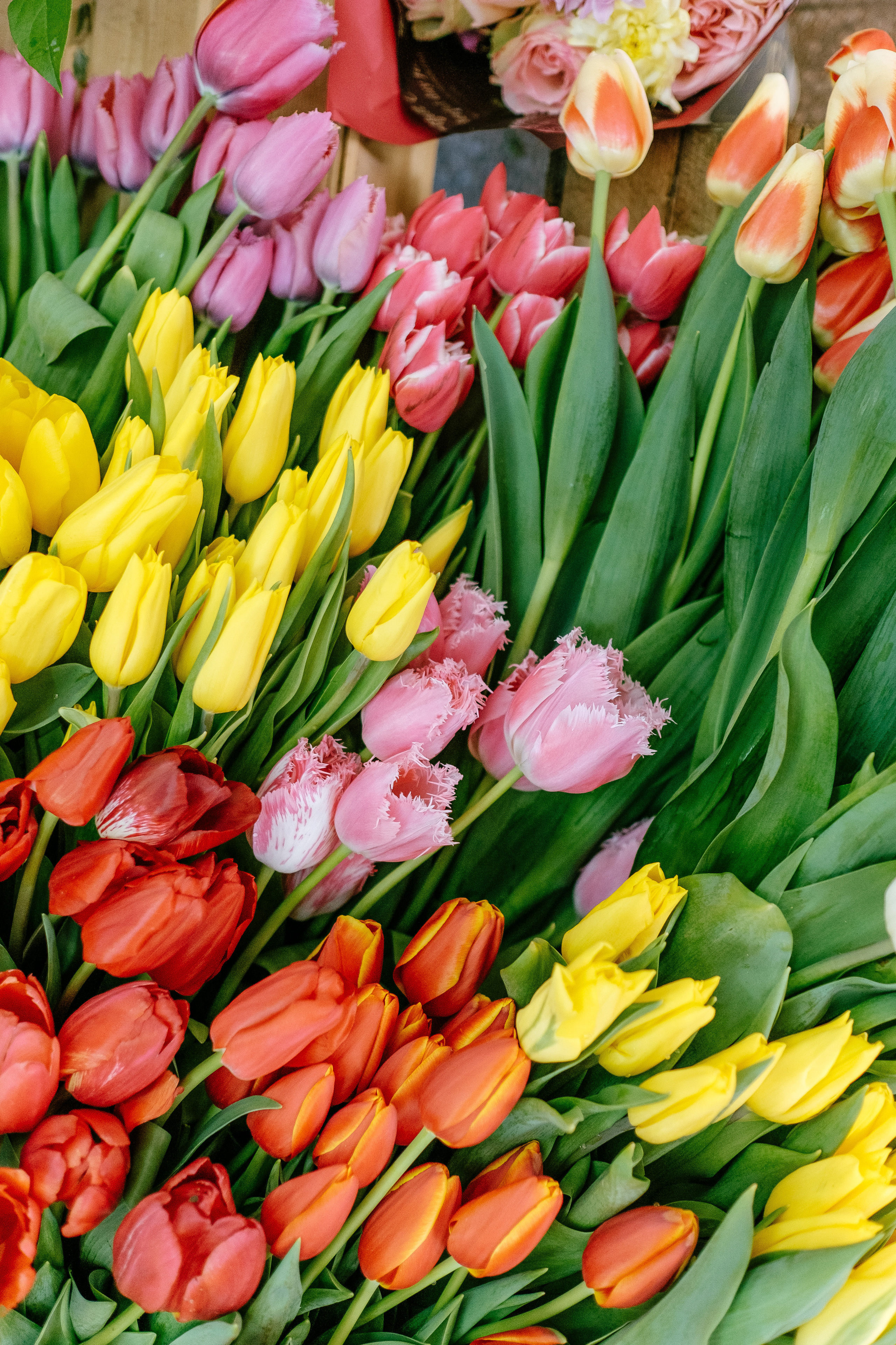 Событийный фоторепортаж с мероприятий в городе. Фотограф в городе Астрахань Ольга Лазиева