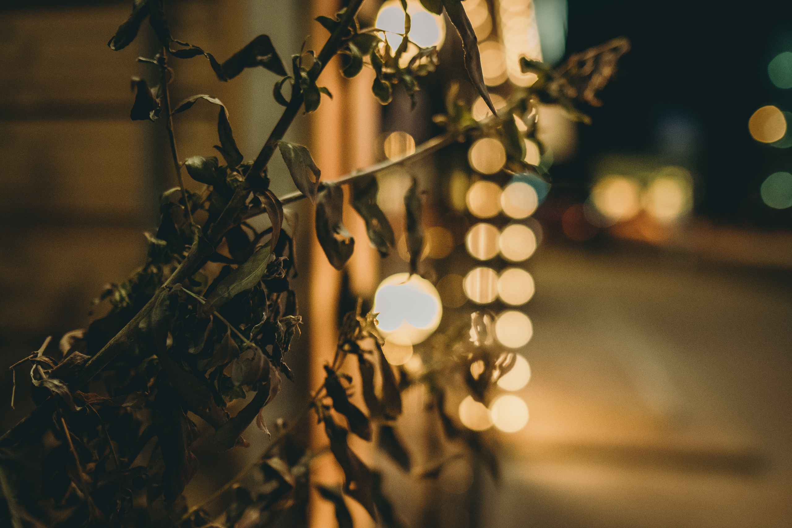 Фотоистория первой любви, первых чувств в кафе. Фотограф в городе Астрахань Ольга Лазиева