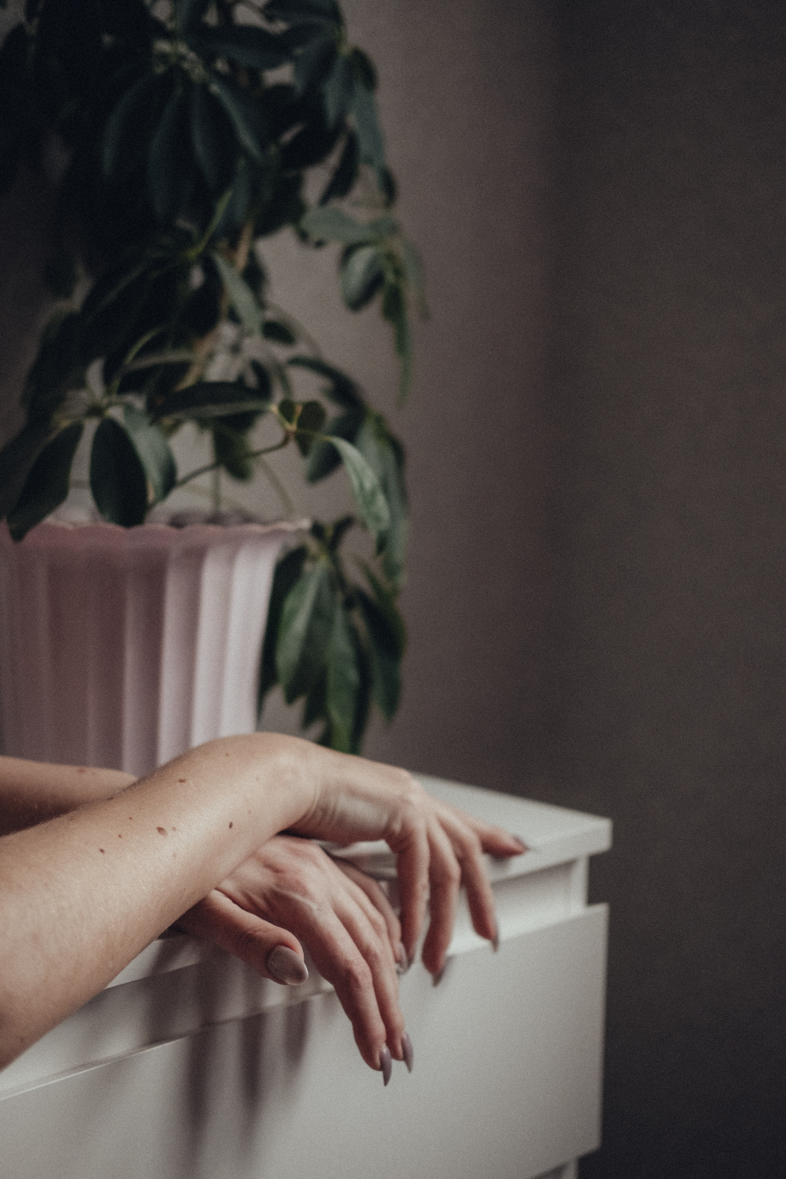 ухоженные женские руки