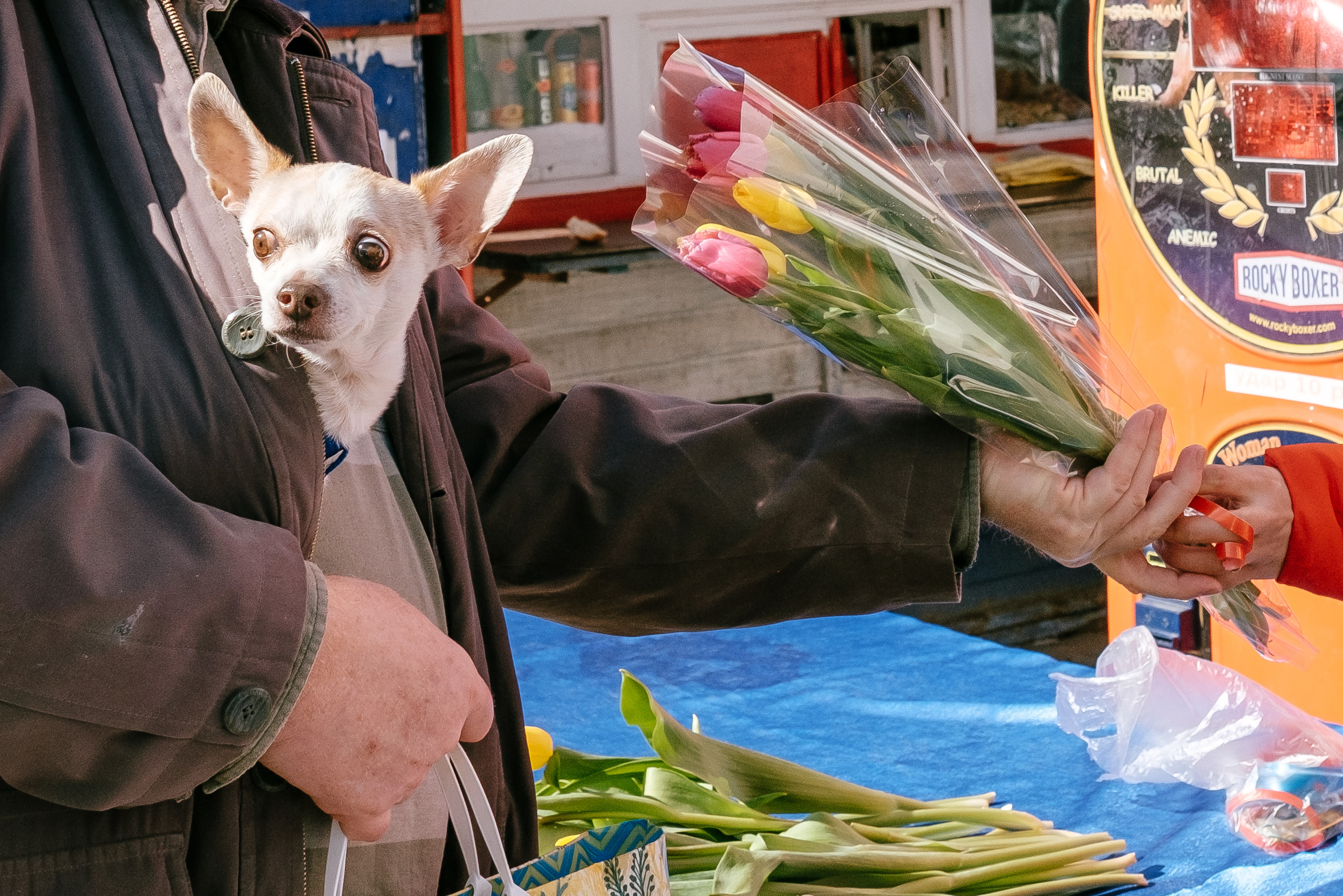 Событийный фоторепортаж с мероприятий в городе. Фотограф в городе Астрахань Ольга Лазиева