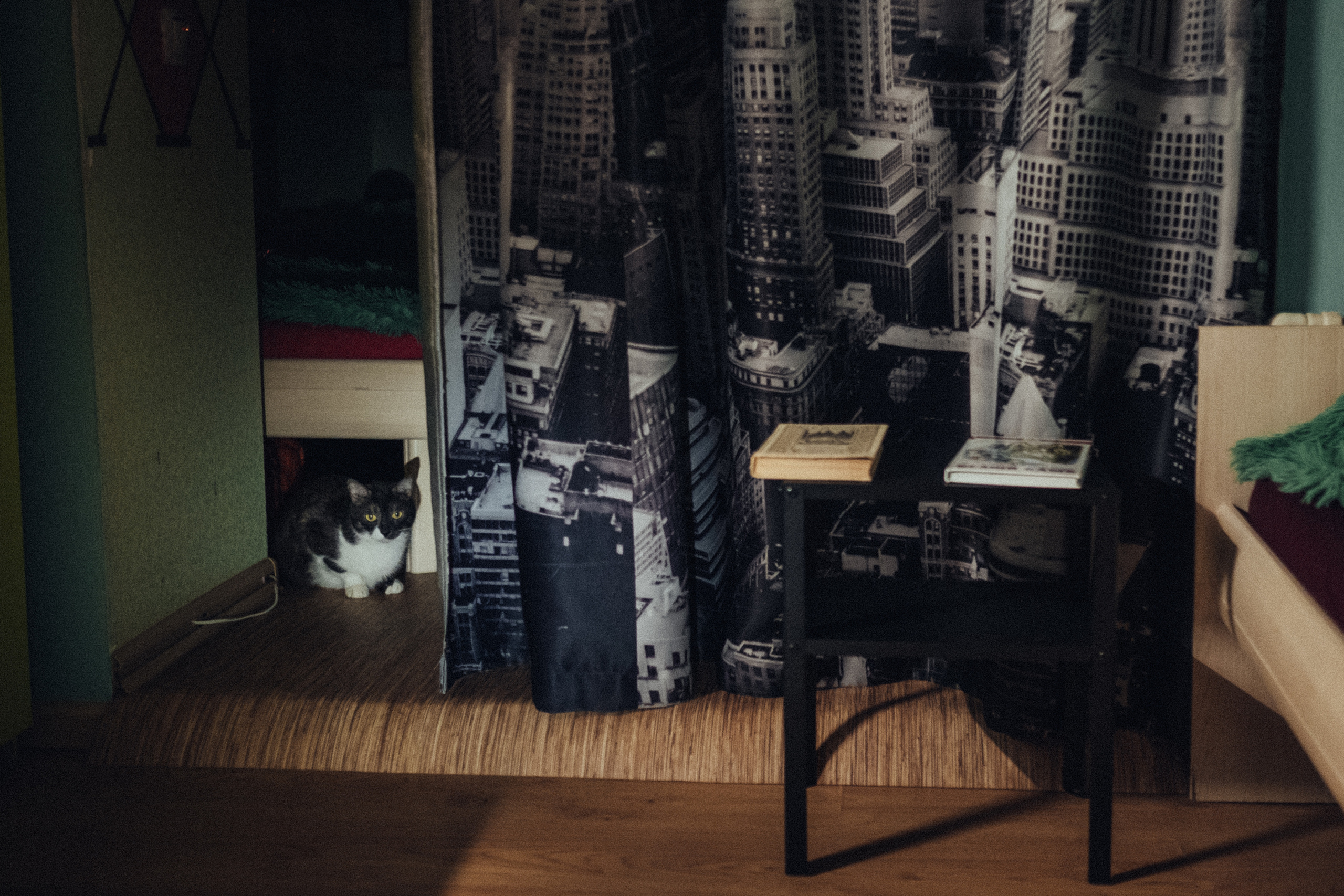 семейная фотосессия дома