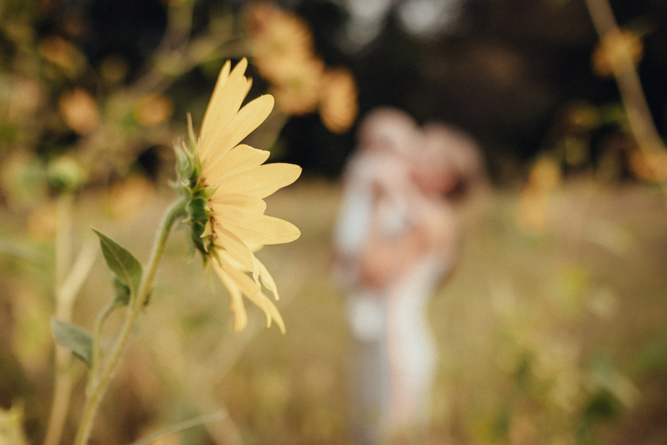 Семейная фотосессия с младенцем на природе летом. Фотограф в городе Астрахань Ольга Лазиева
