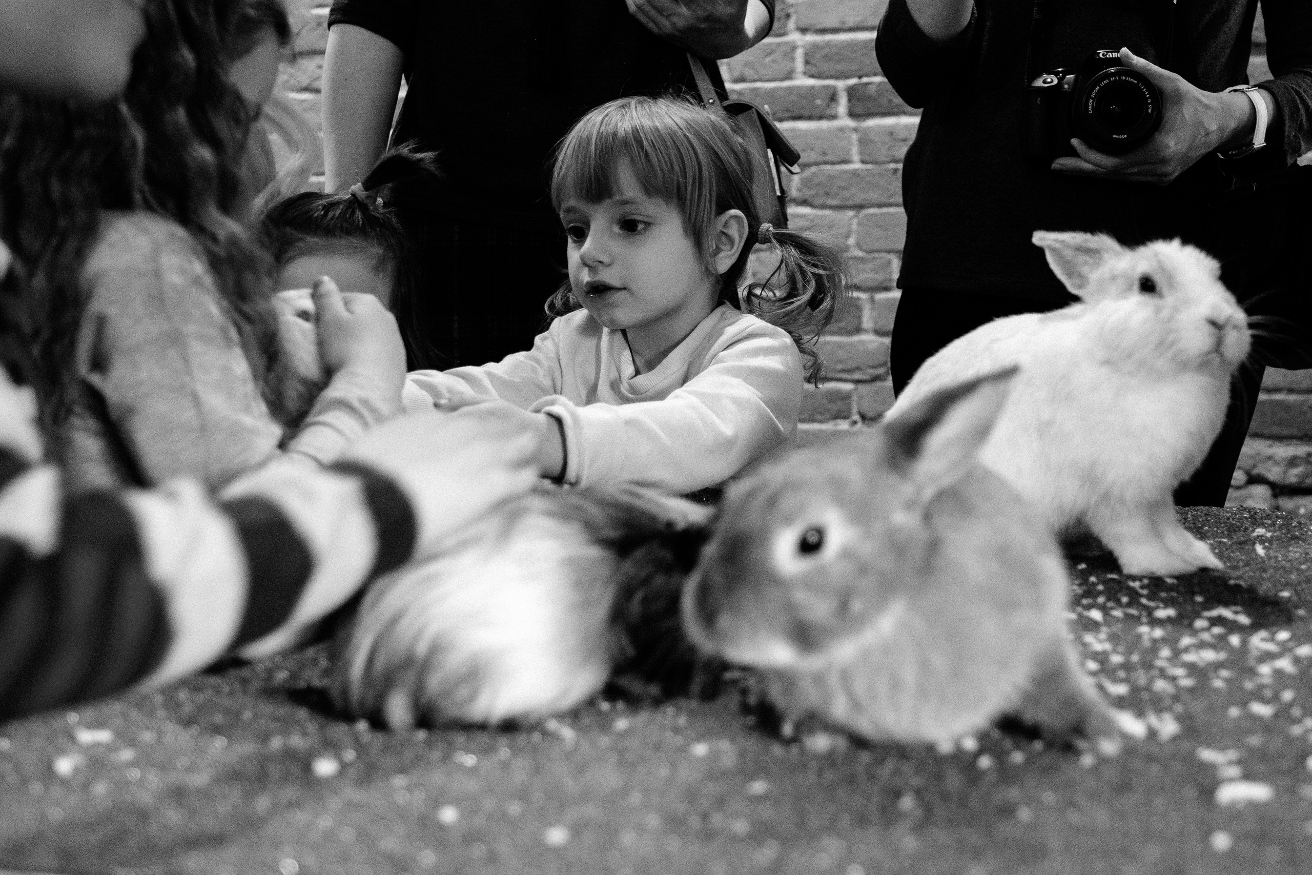 Событийный фоторепортаж с мероприятий в городе. Фотограф в городе Астрахань Ольга Лазиева