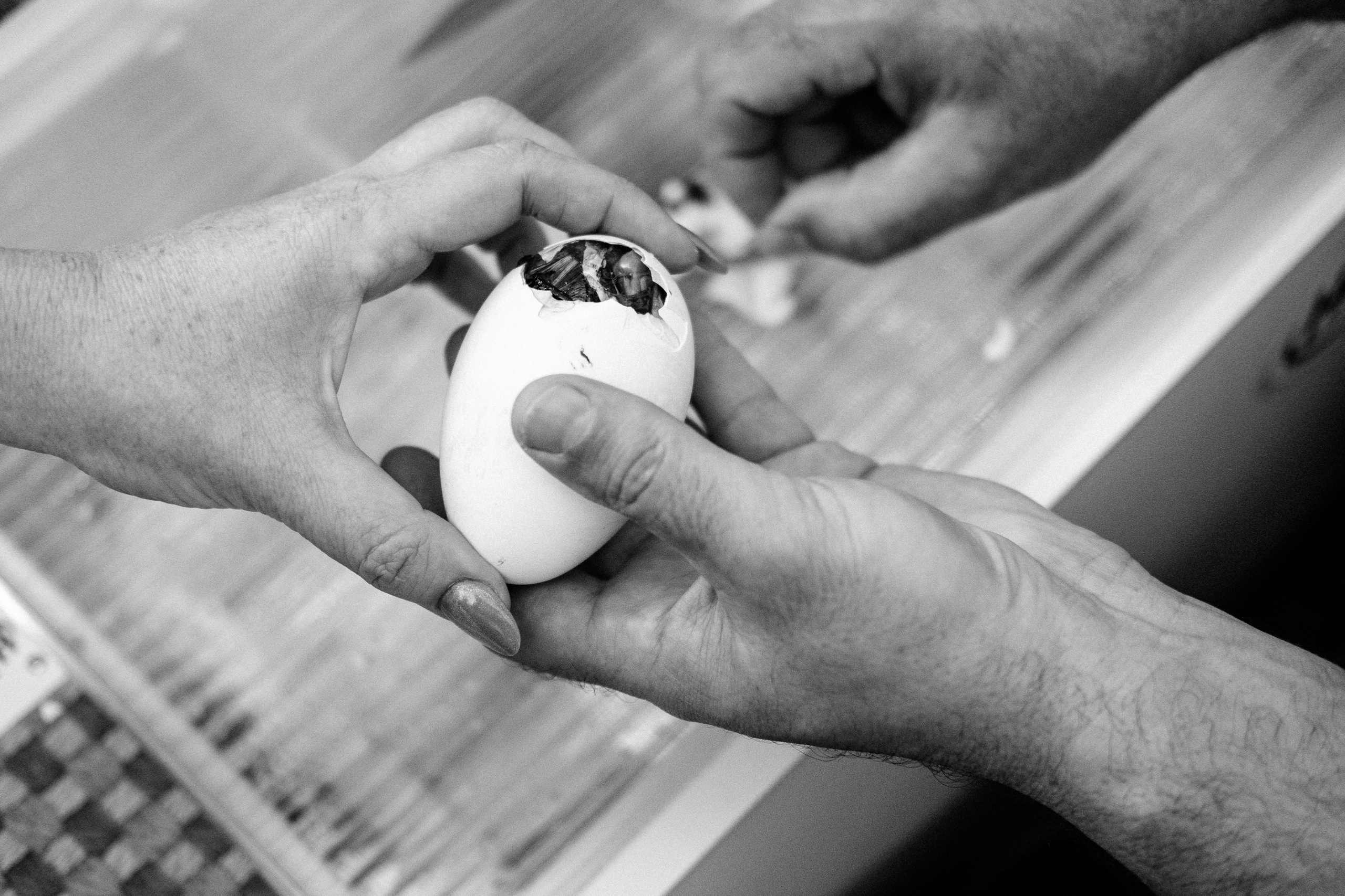 Событийный фоторепортаж с мероприятий в городе. Фотограф в городе Астрахань Ольга Лазиева