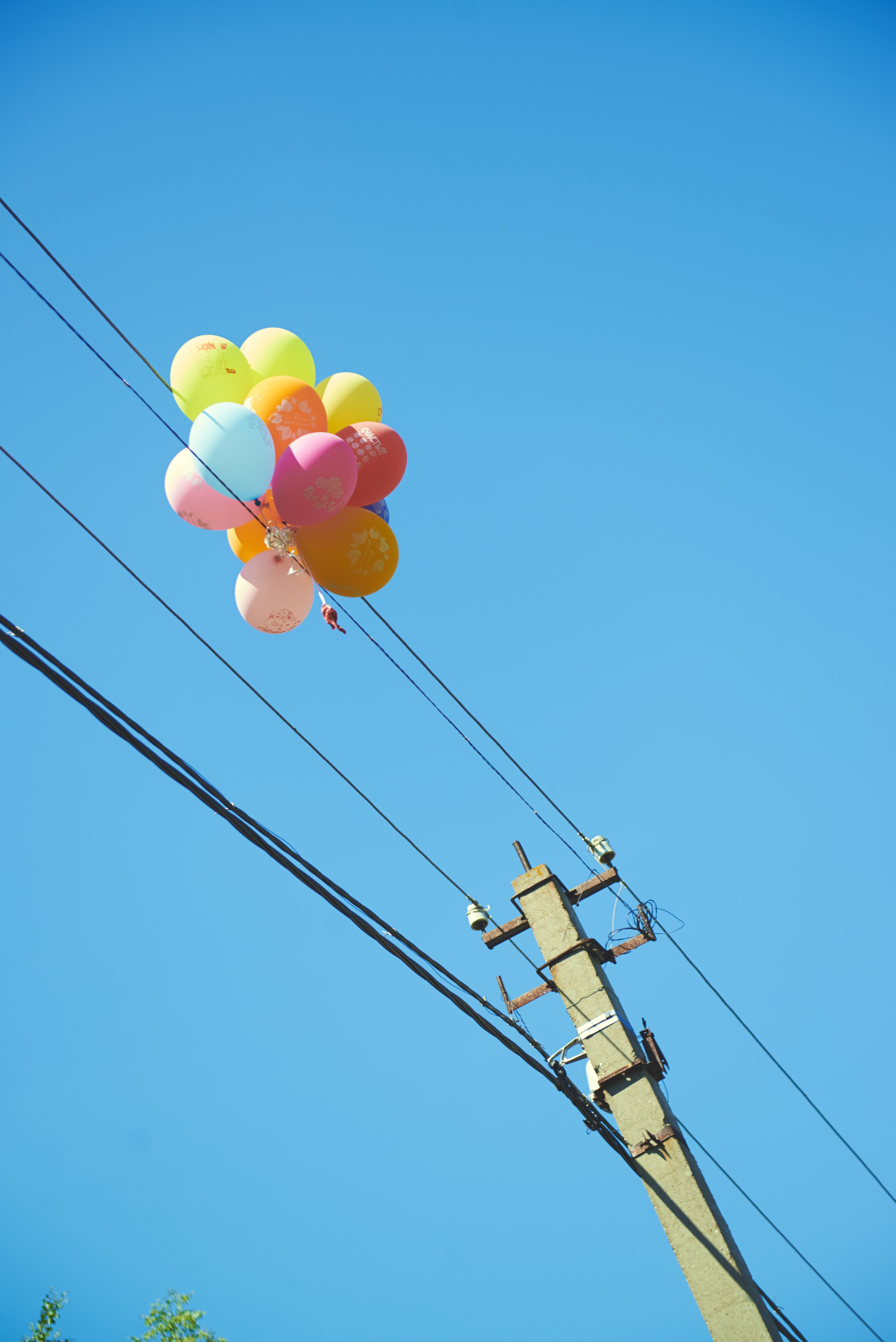 Guzel 3 yers party. Photo & Video production, in Bishkek, Kyrgyzstan