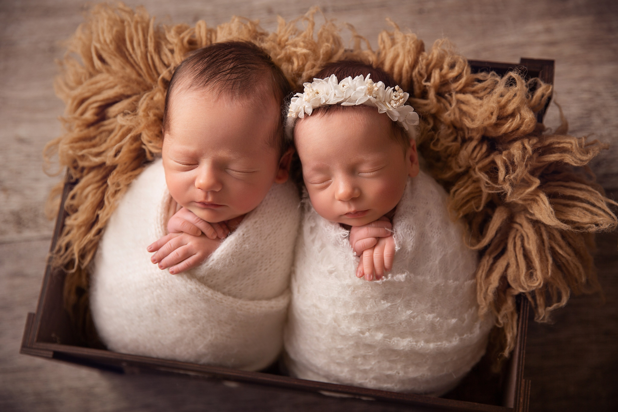 Chocolate. Фотограф новорожденных, семейный фотограф в Санкт-Петербурге