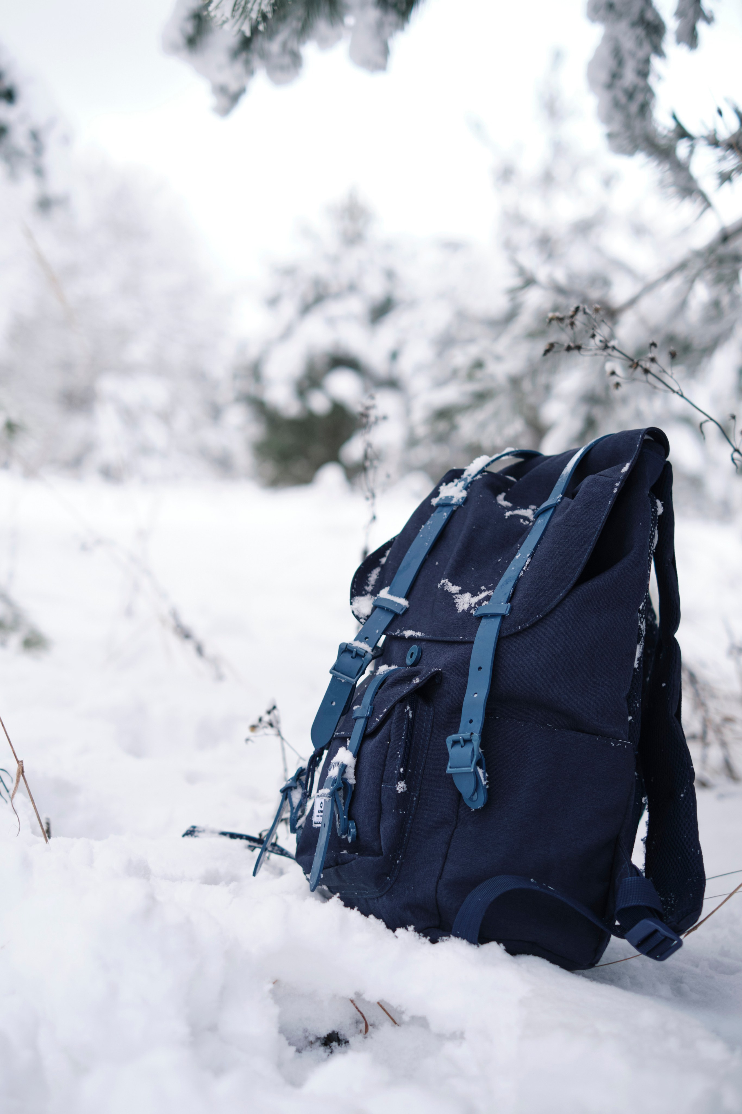 Зимняя фотосессия с вкусной едой на горелочке. Елена Павленко. Фотограф. Москва