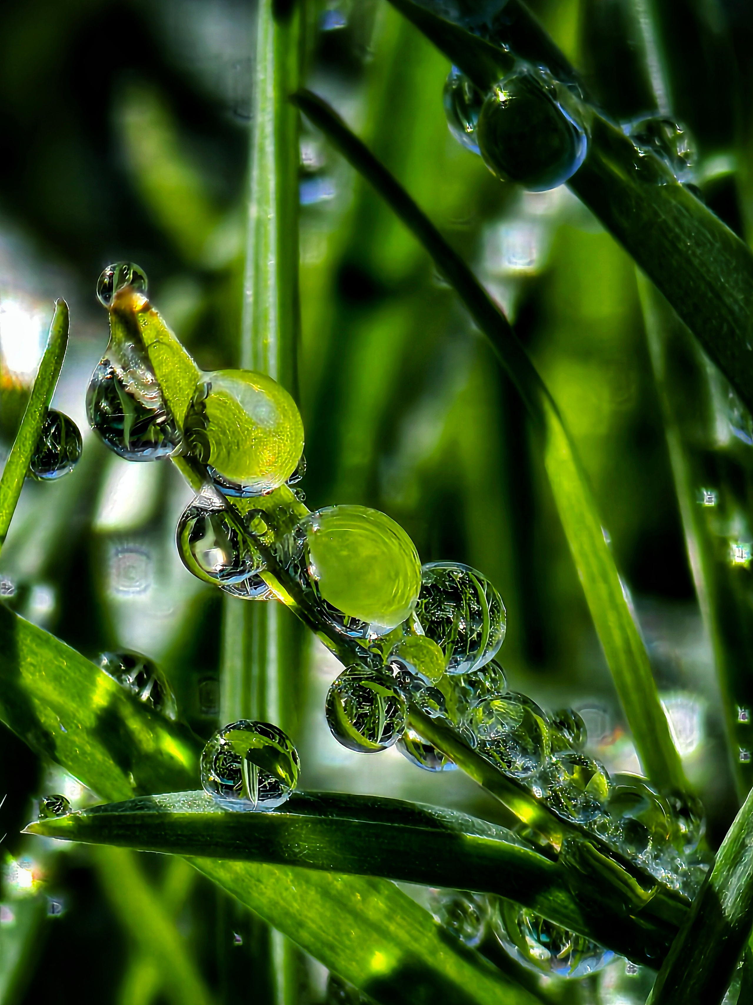 Сырая эстетика