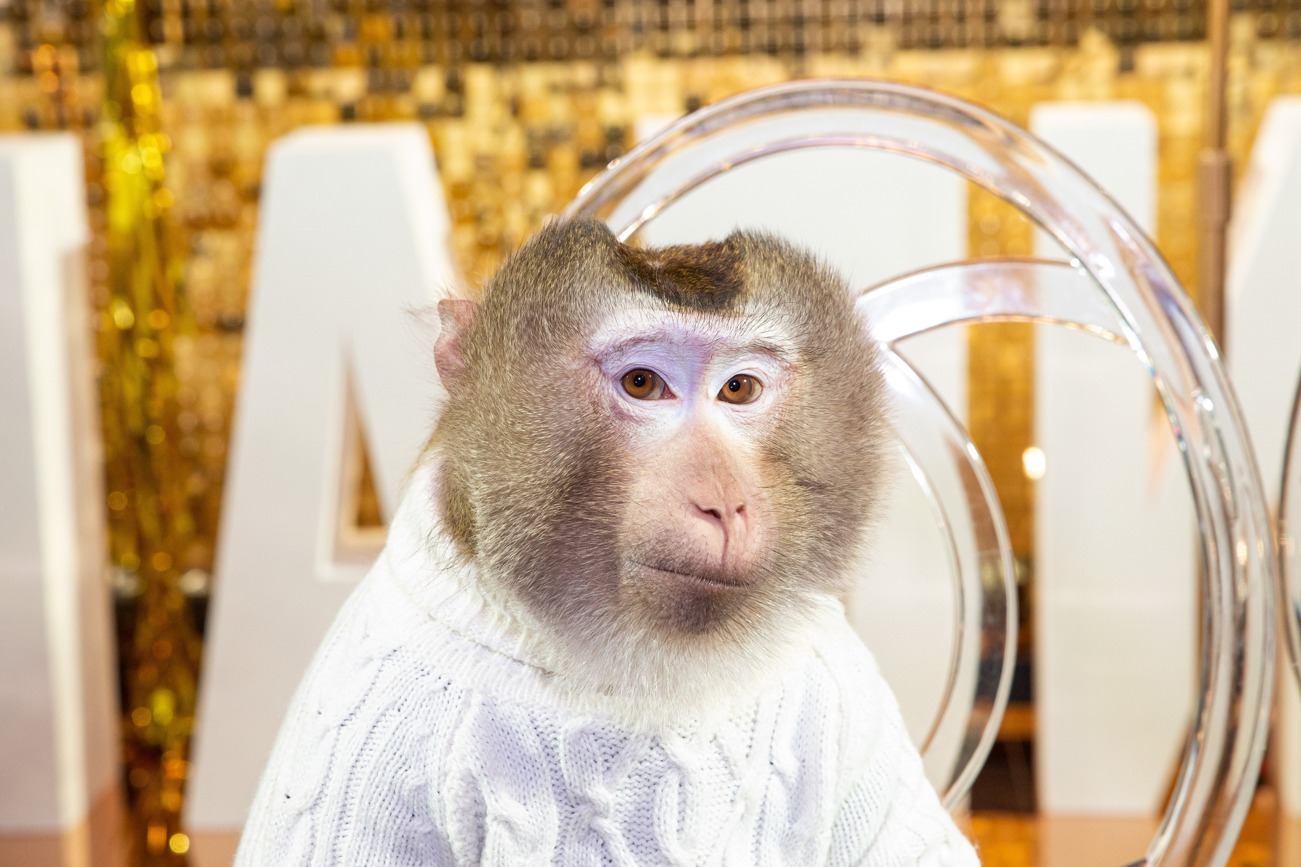 Детские праздники. Рекламный коммерческий фотограф в Москве Владимир Лукьянов