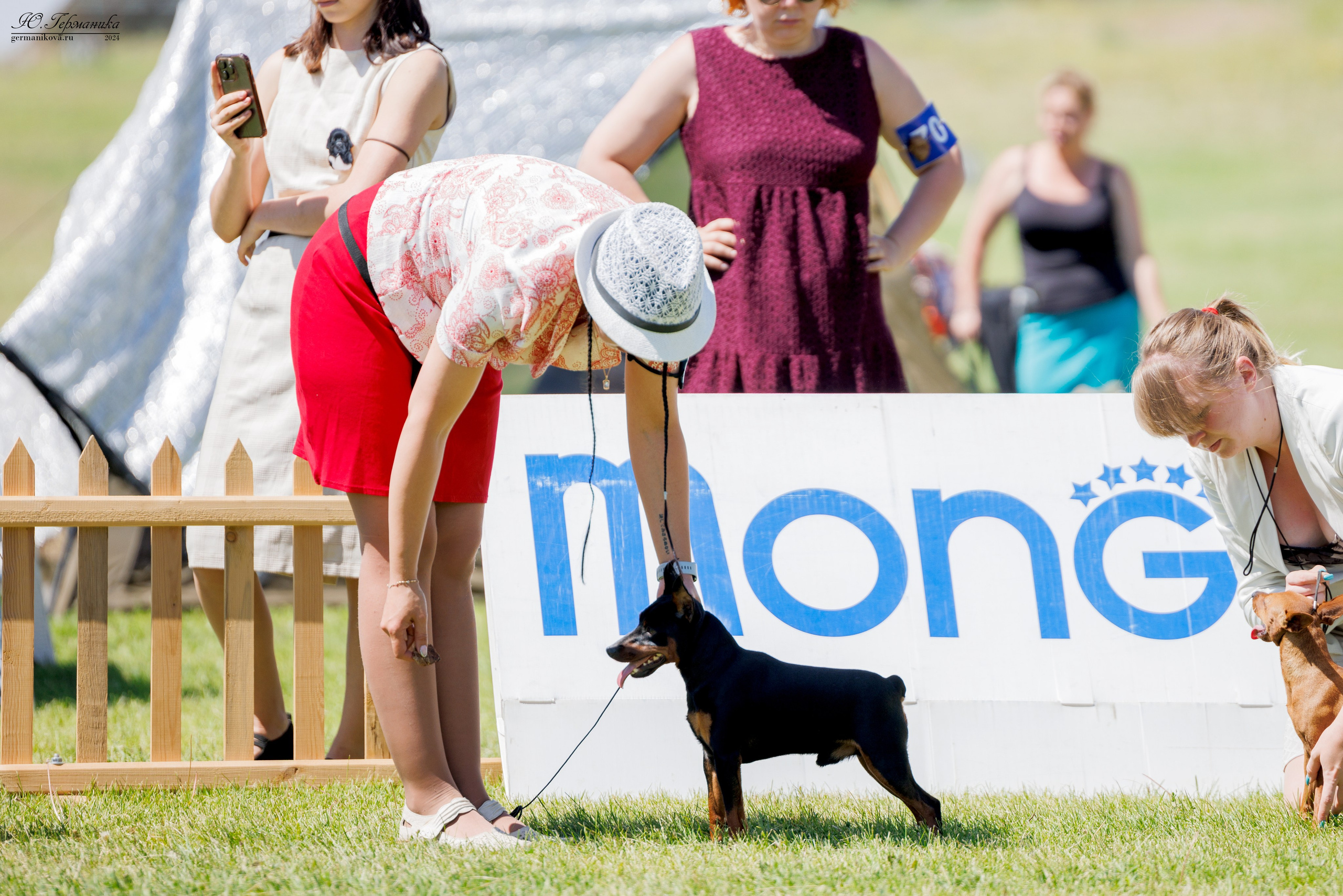 Ереван 3-5.06.2024. Фотограф-анималист Юлия Германика