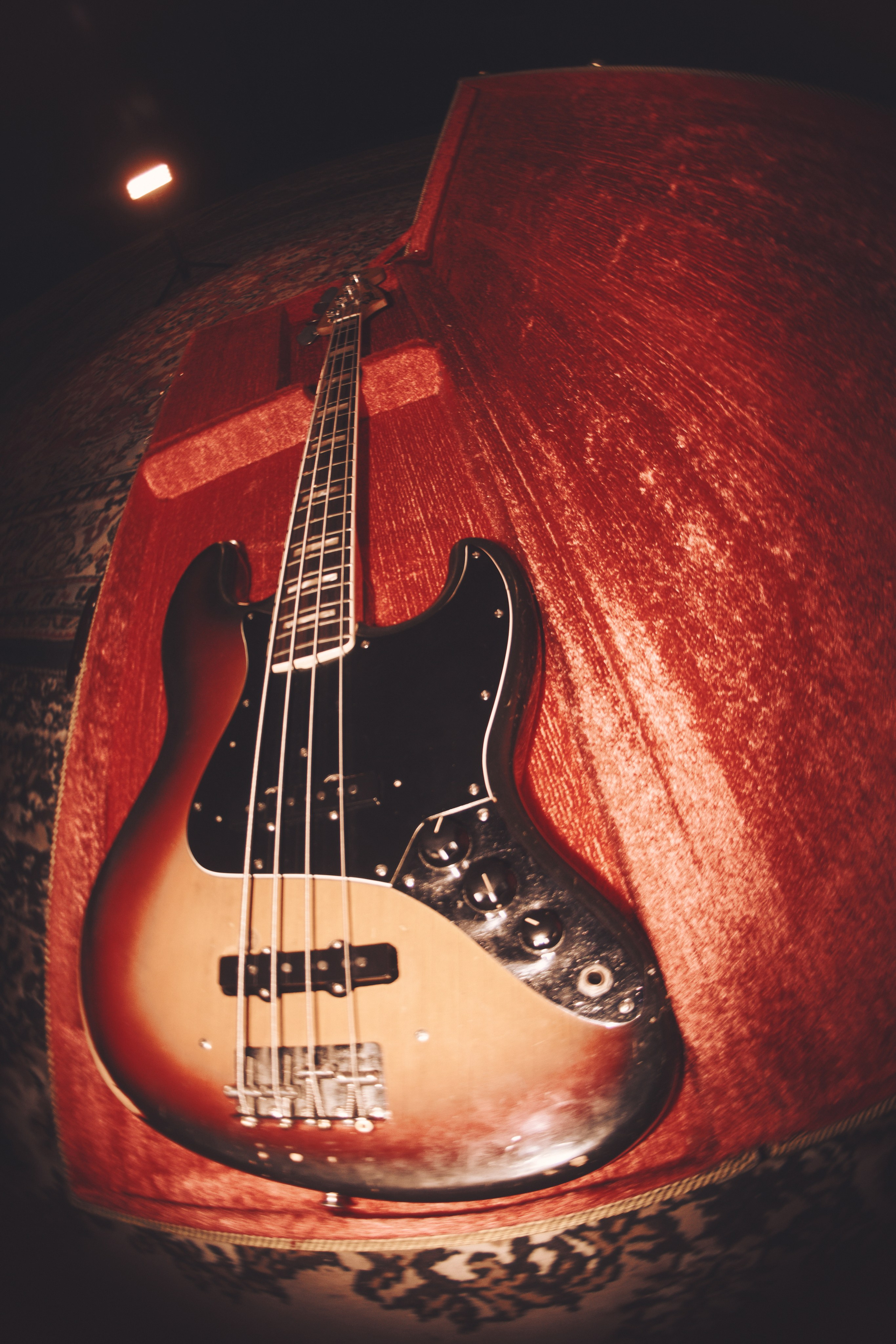 Голова Муэссы/Параметрика — Запись Ретроградного Меркурия. Фотография для артистов