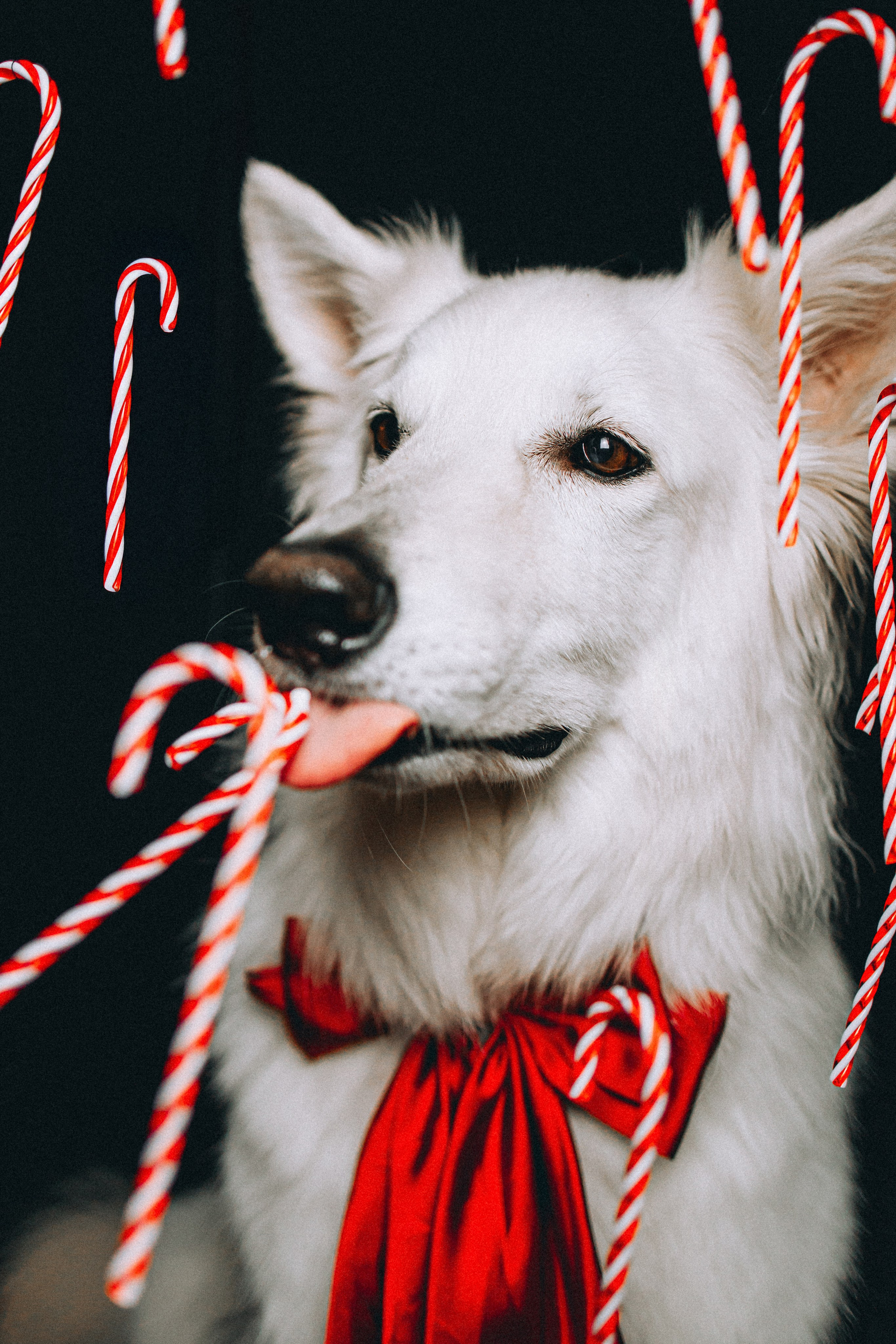 Джек, Бет и Кову