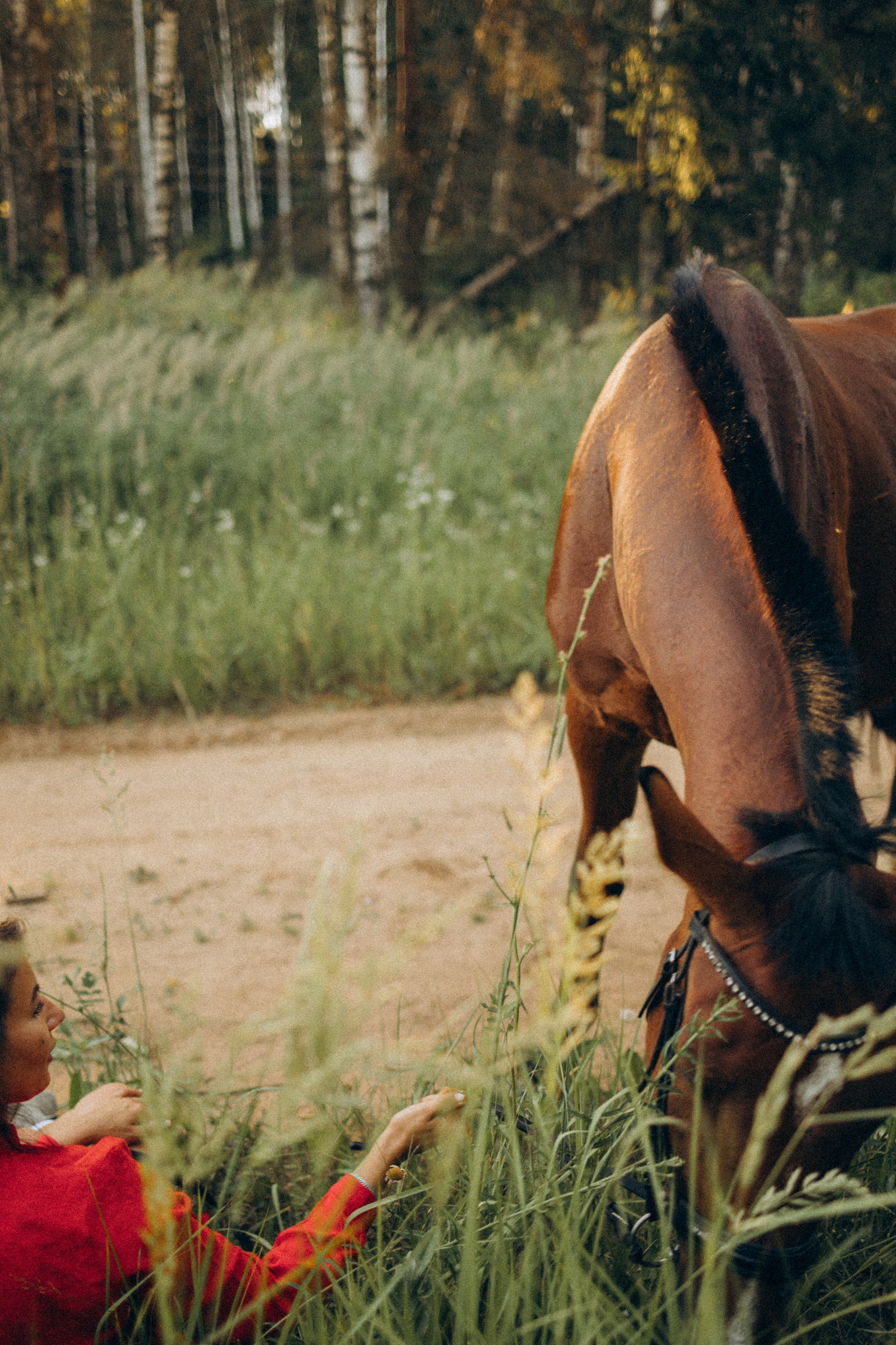 А в деревни лошади. Фотограф Москва Светлана Кирюшина