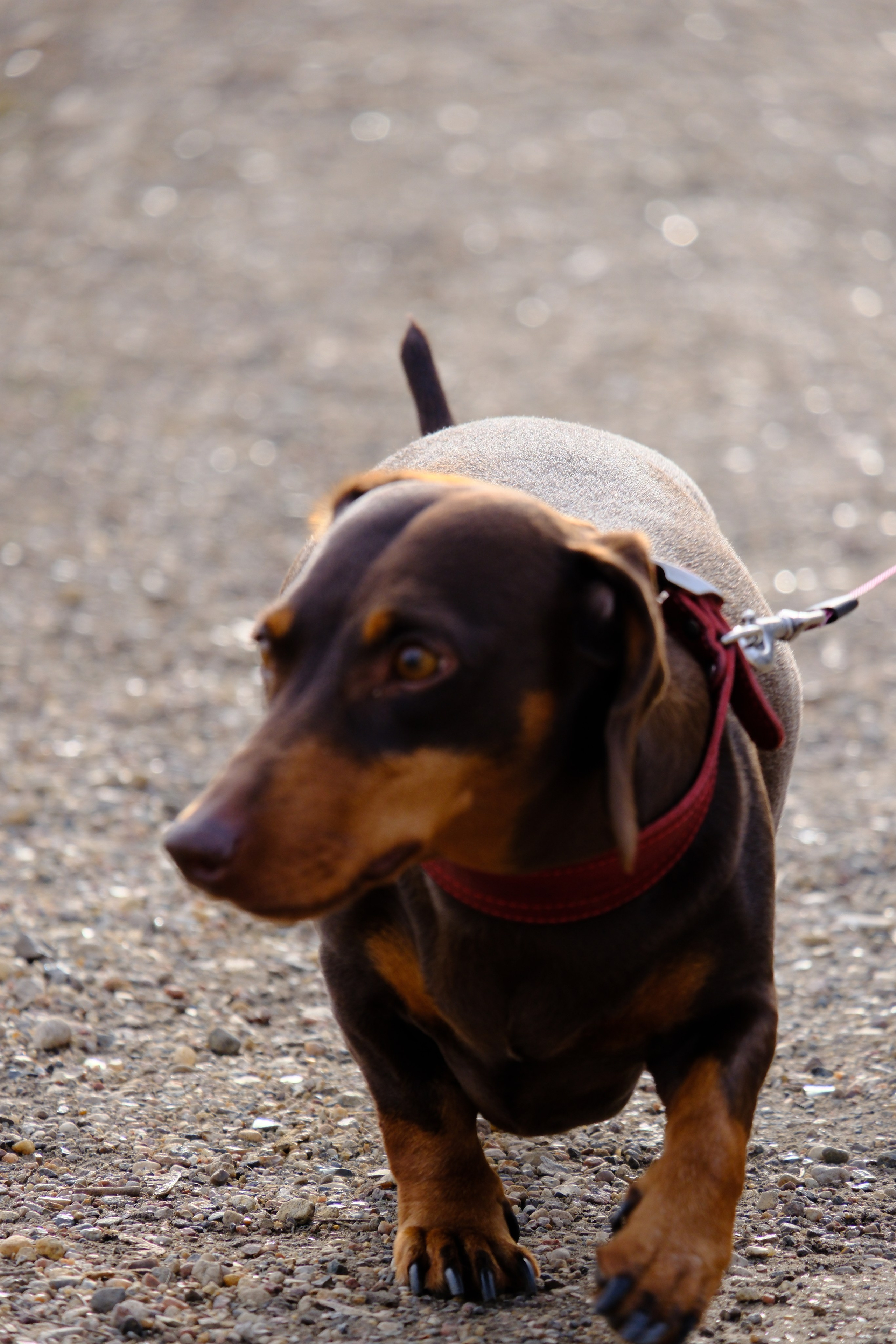 街头摄影. 主页