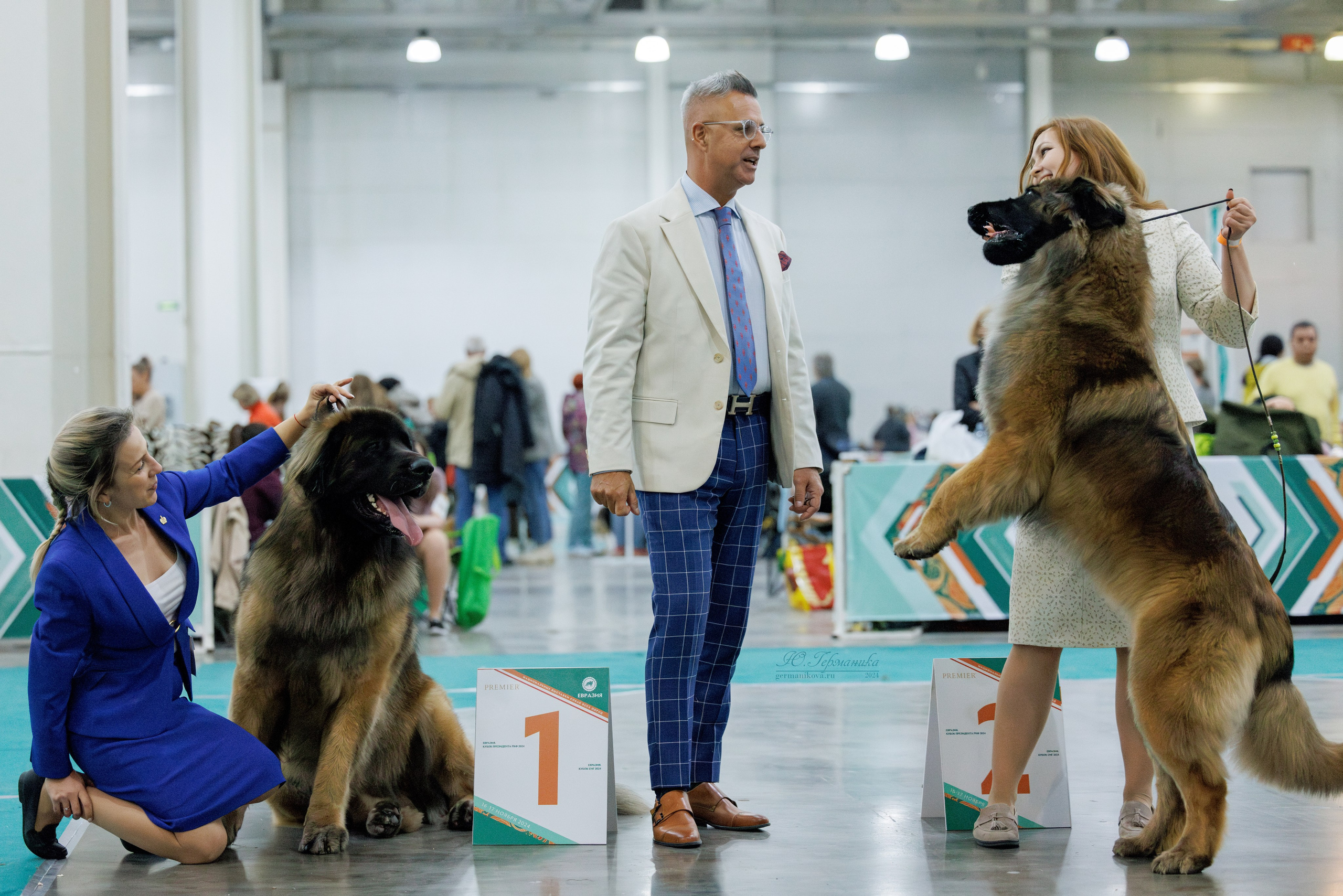 Евразия 16-17.11.2024. Фотограф-анималист Юлия Германика