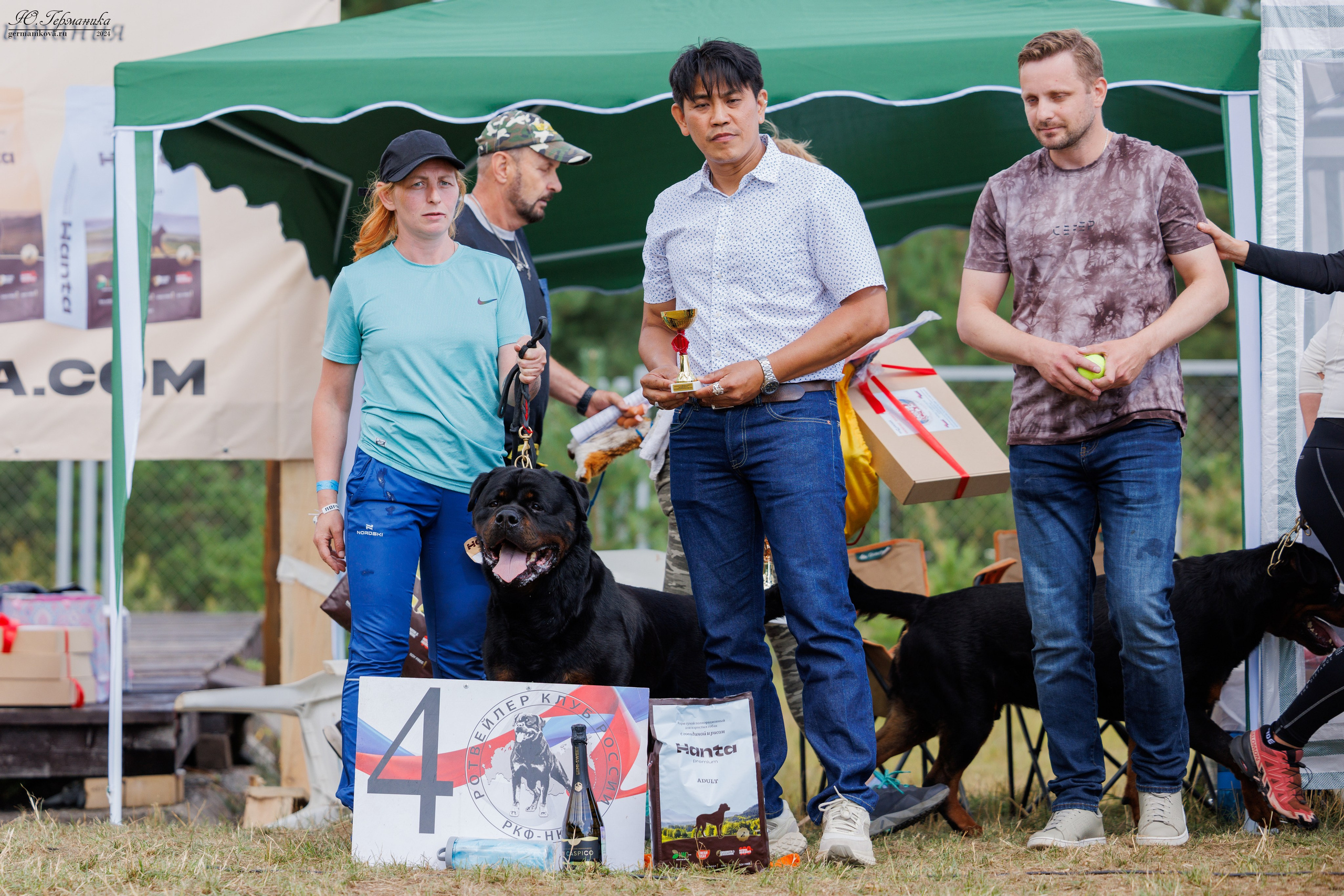 ПК и КЧК ротвейлеры Тверь 6-7.07.2024. Фотограф-анималист Юлия Германика