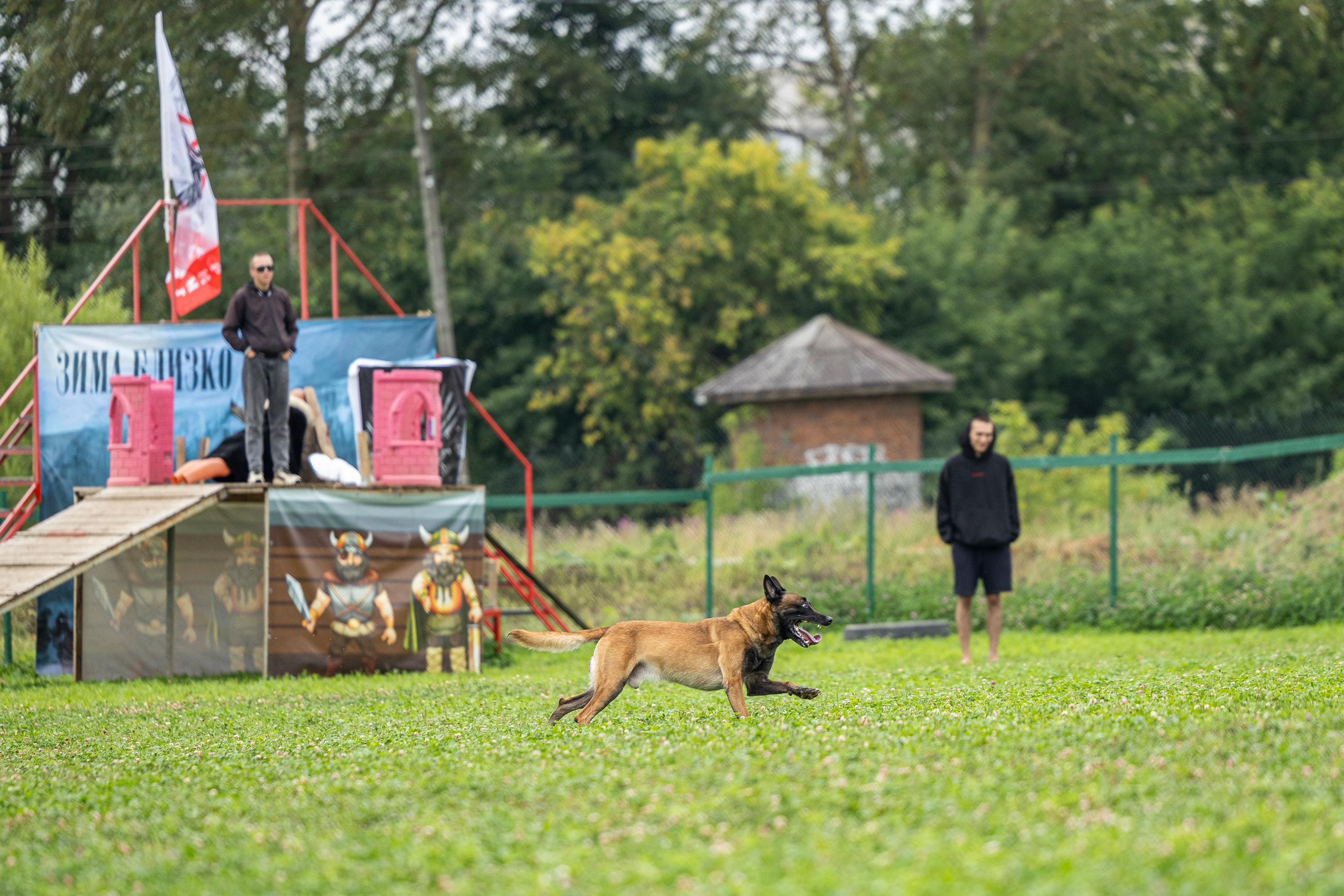 Соревнования по Мондьорингу г. Вологда 10-11.08.2024. Фотограф-анималист Анна Маринич