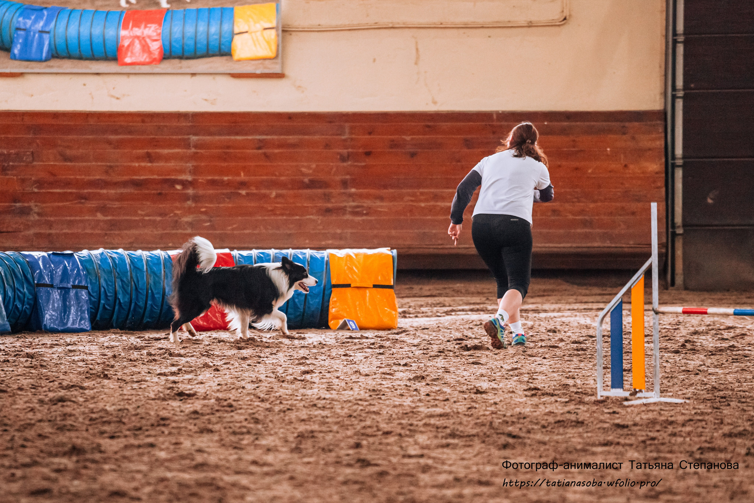 Соревнования по Аджилити 25.02.2024. Фотограф-анималист Татьяна Степанова