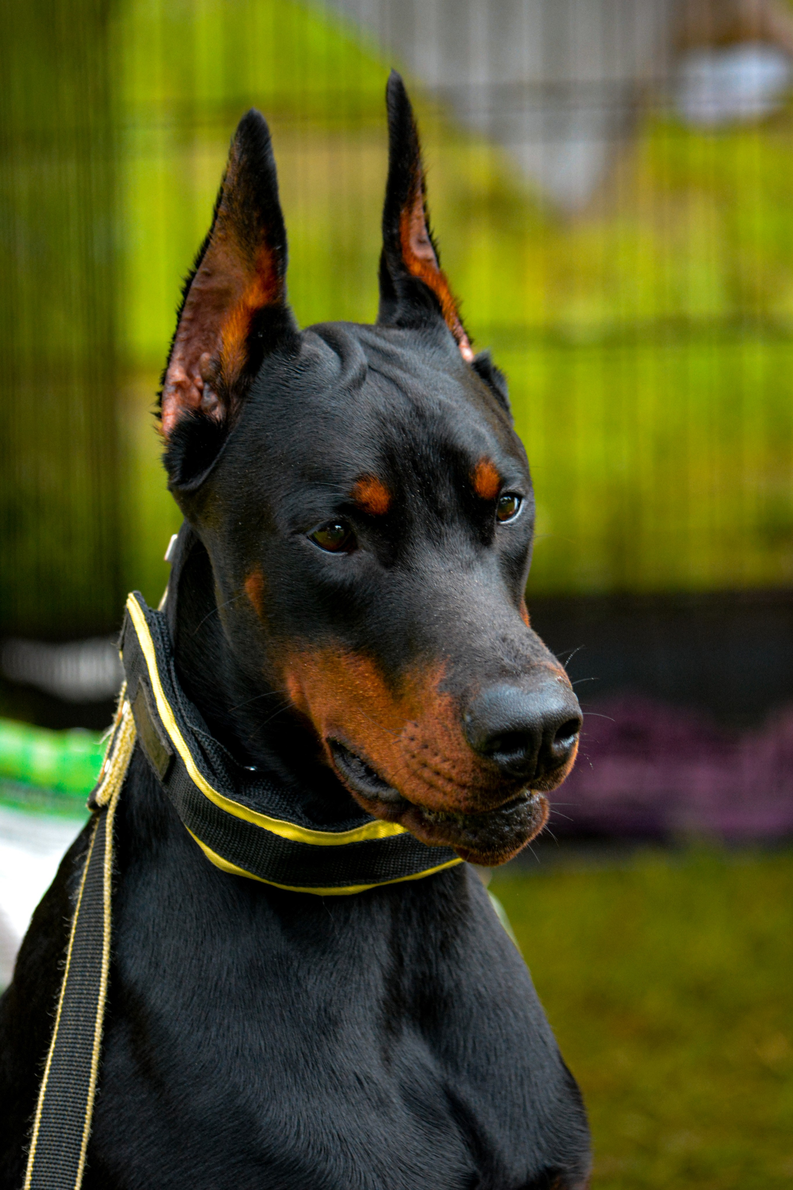 Reportage & Events. Фотограф Евгения Саботаж в г. Москва