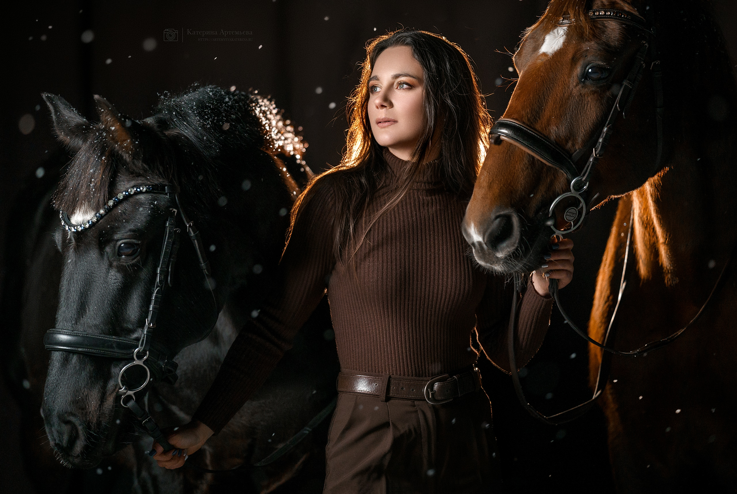 Фотосессии с лошадьми. Фотограф Артемьева Катерина|фотосессии с лошадьми