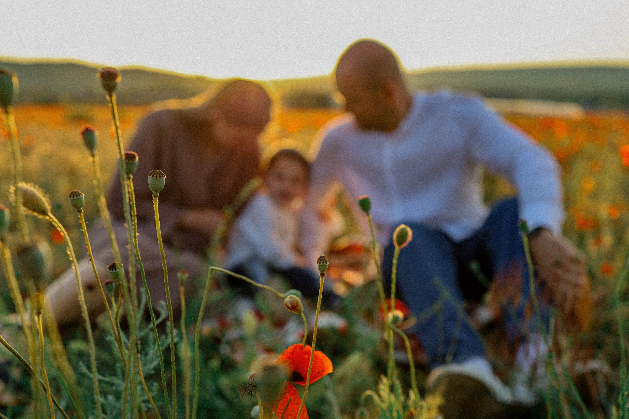 Маковая история. Фотограф Немазенко Ольга